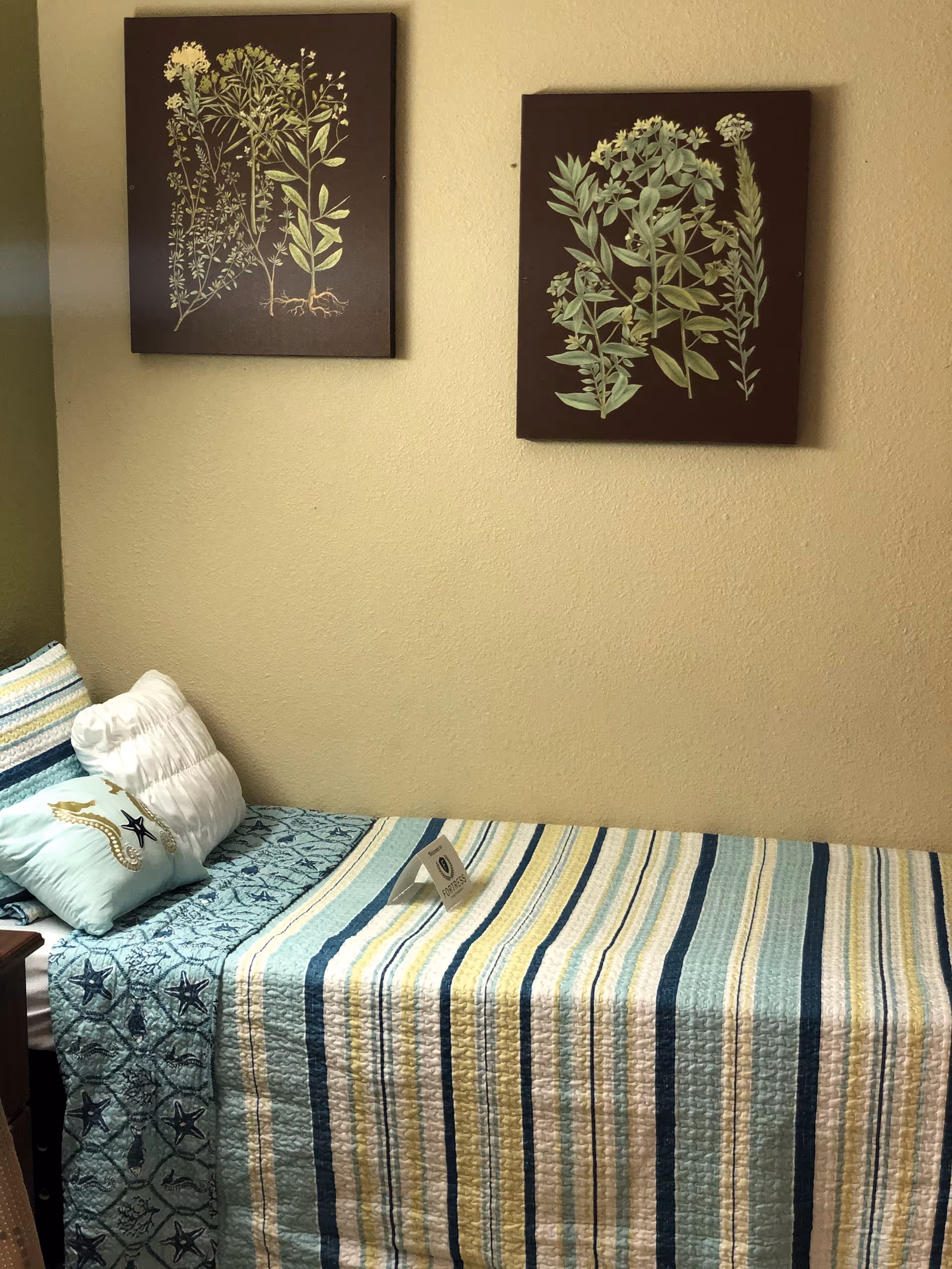 A bed with striped quilt, pillows, and two framed botanical prints in a beige bedroom.