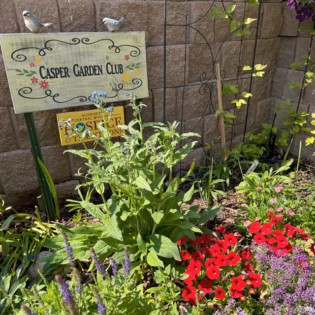 Outdoor garden bed with colorful flowers and a Casper Garden Club sign.