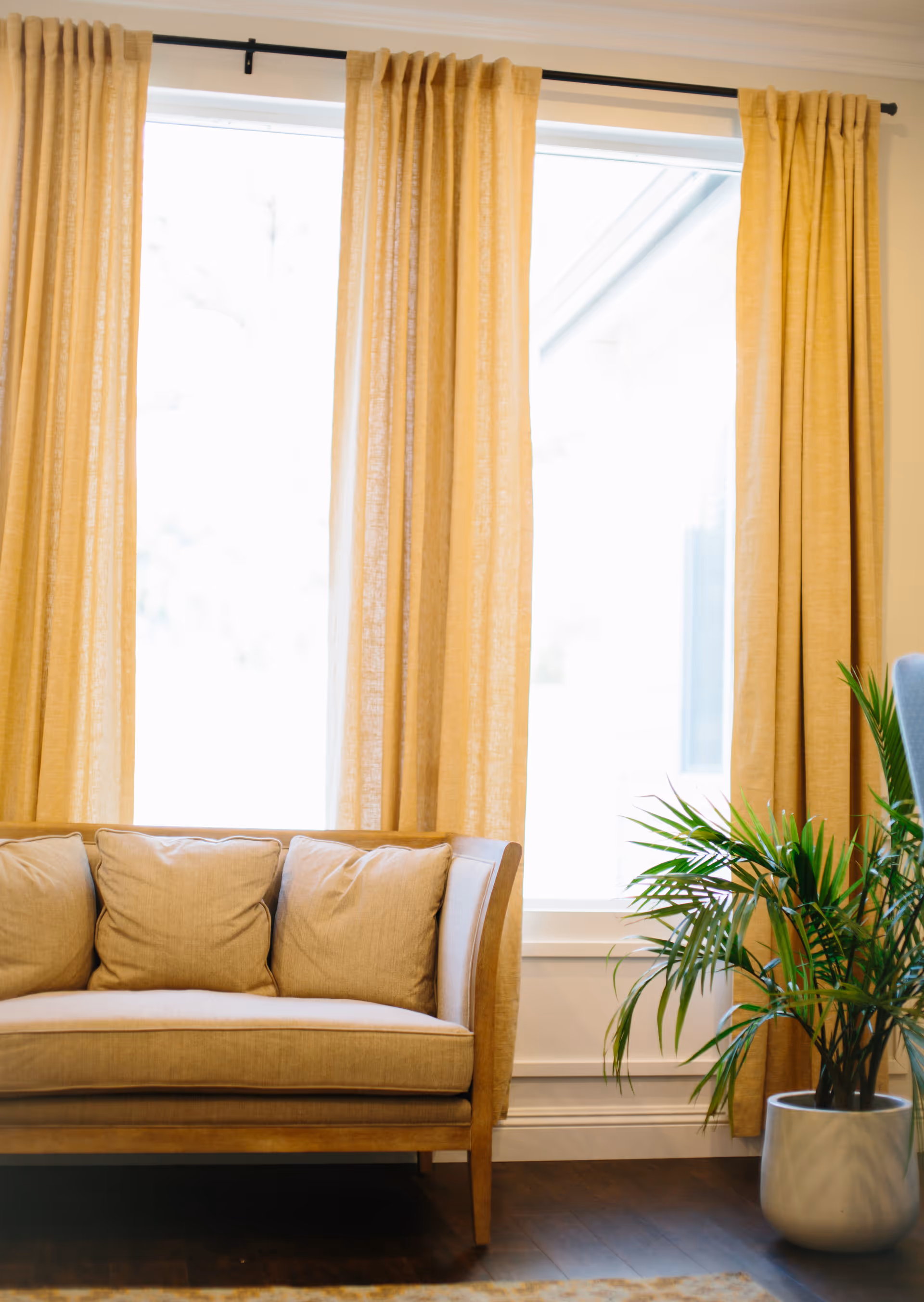 A beige cushioned sofa with three matching pillows placed in front of a large window with yellow curtains. To the right of the sofa, there is a green potted plant in a white pot on a dark wooden floor.