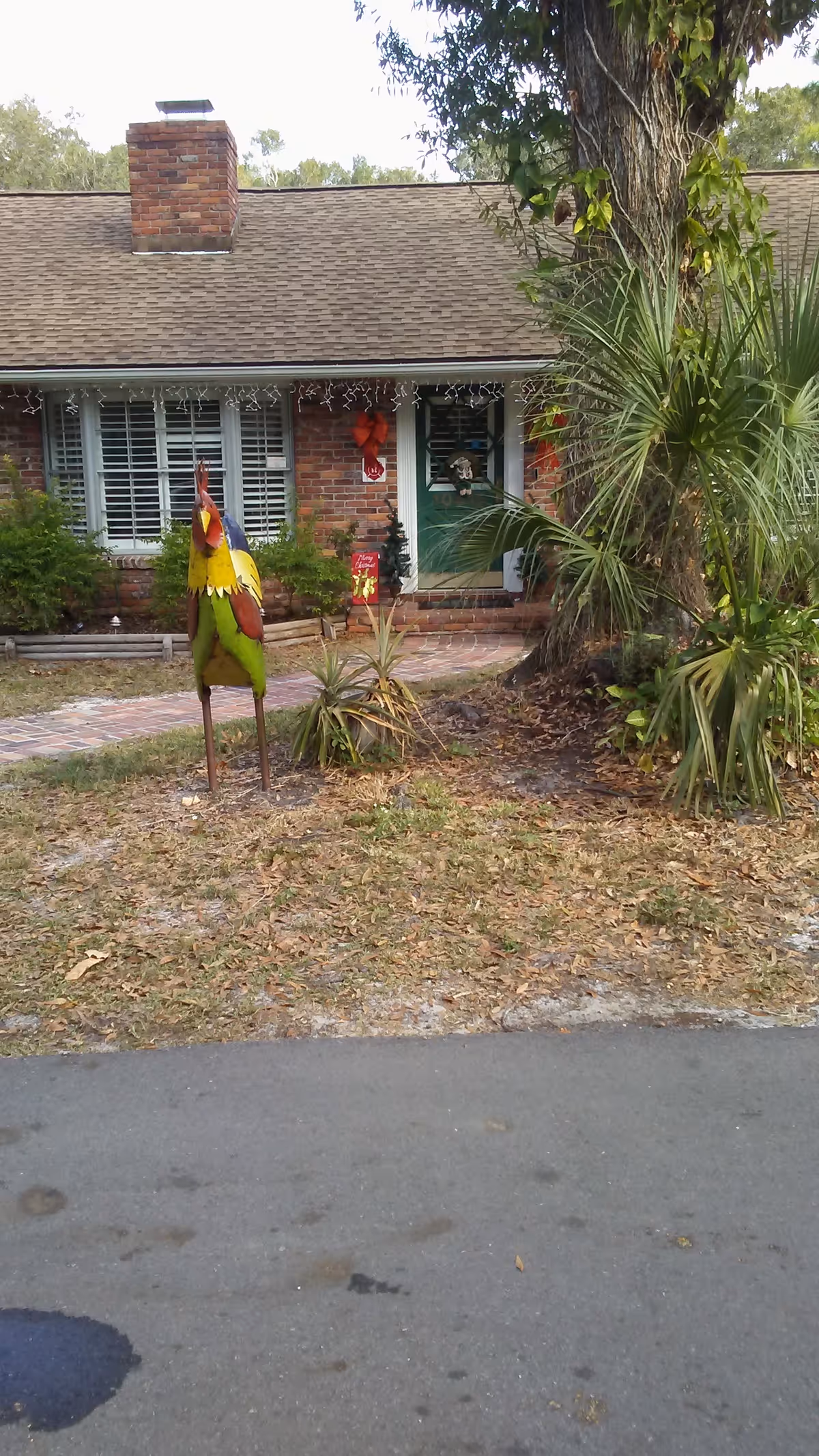Front exterior of a brick facility with green door and palm trees.