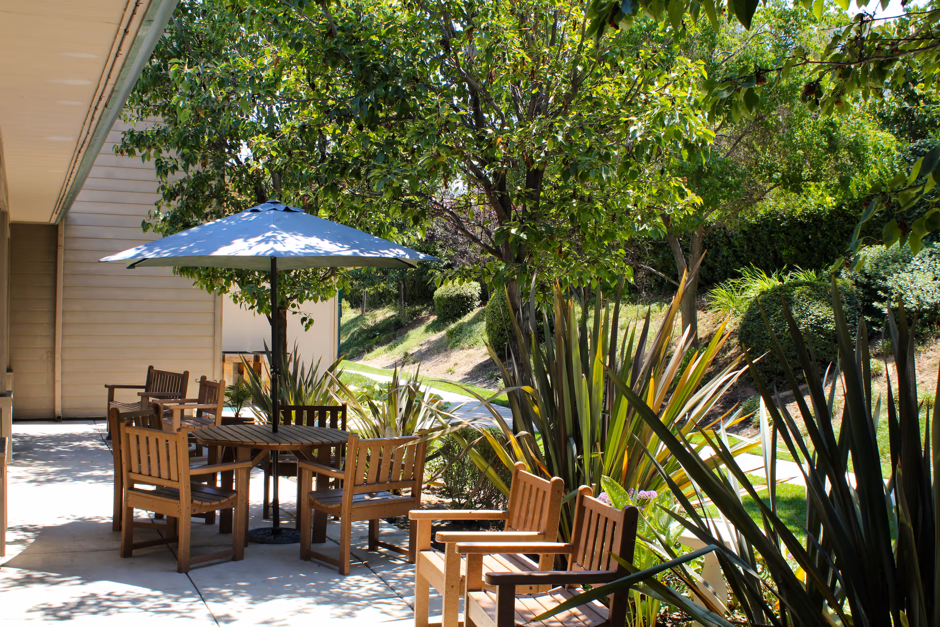 Sunlit outdoor patio with wooden tables and chairs under a blue umbrella next to landscaped trees and shrubs.