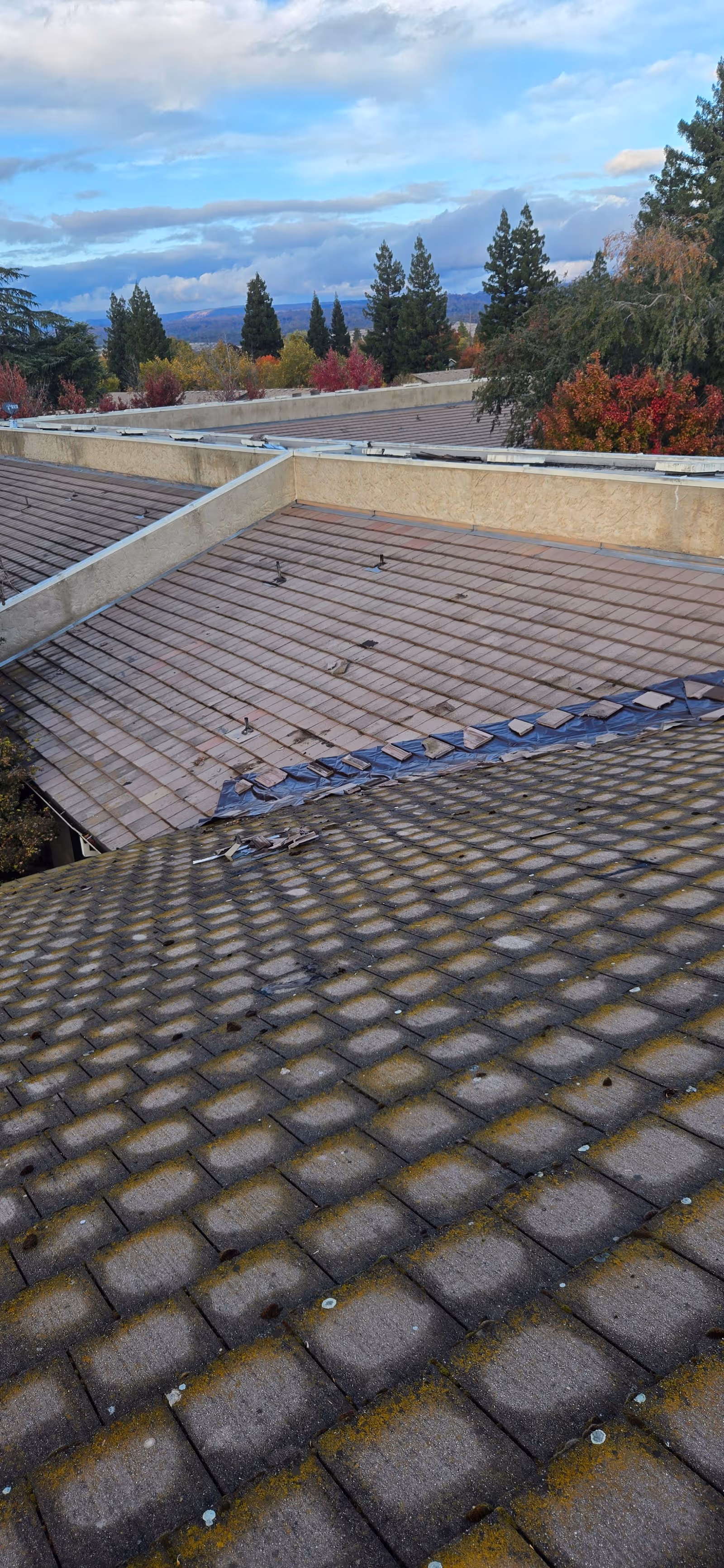 Rooftops of a senior community with autumn trees and a blue sky.