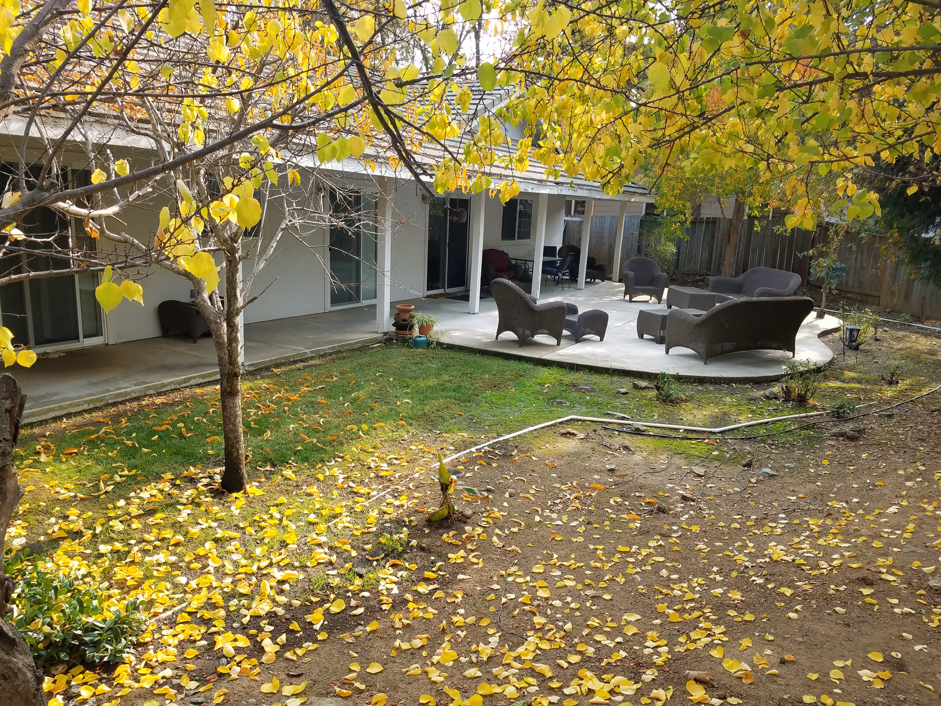 Outdoor patio area of Oak Grove Senior Care with chairs and scattered yellow leaves.