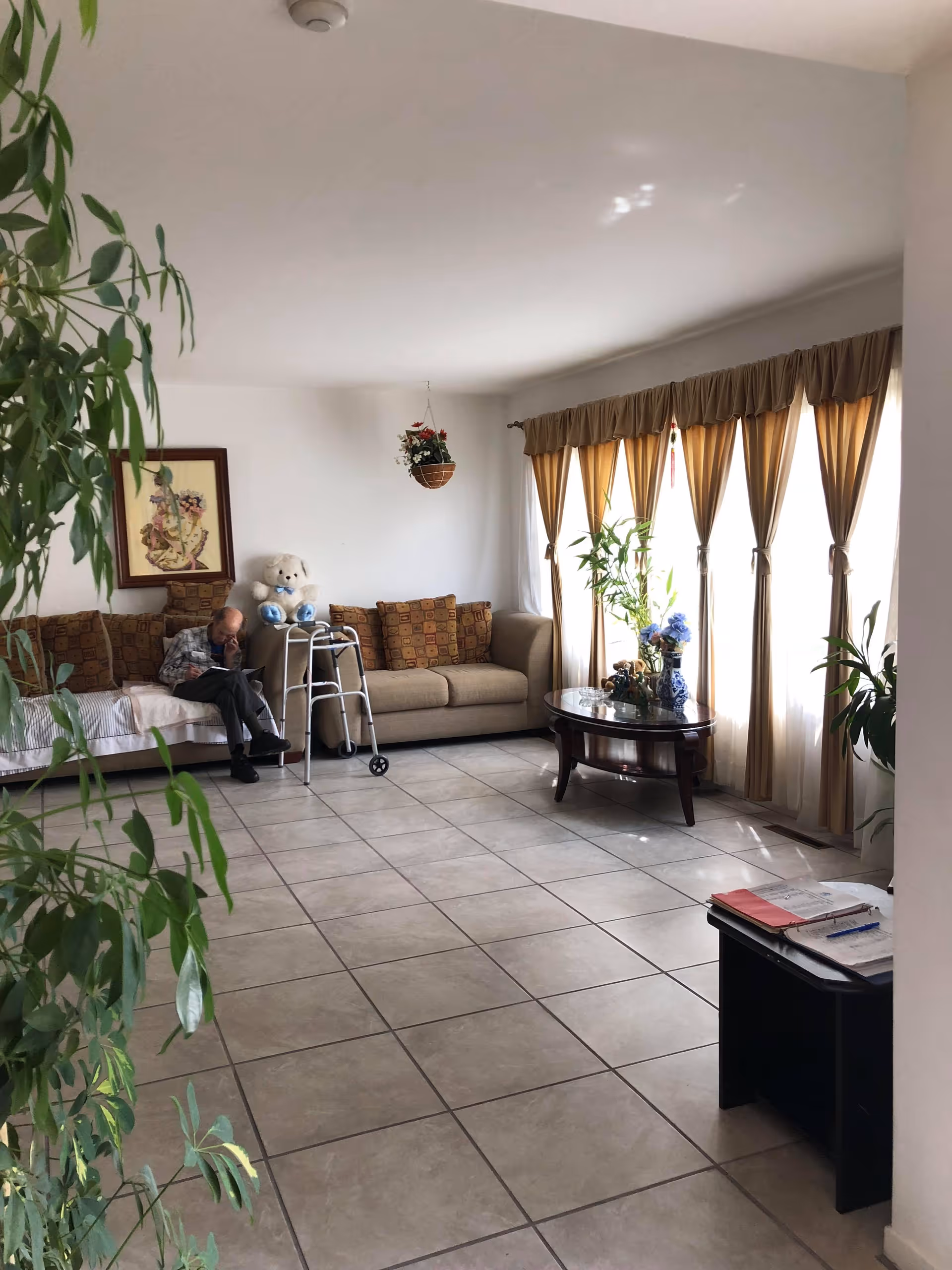 Sunlit living room with a sofa, coffee table, large curtained windows, plants, and an elderly person seated beside a walker.