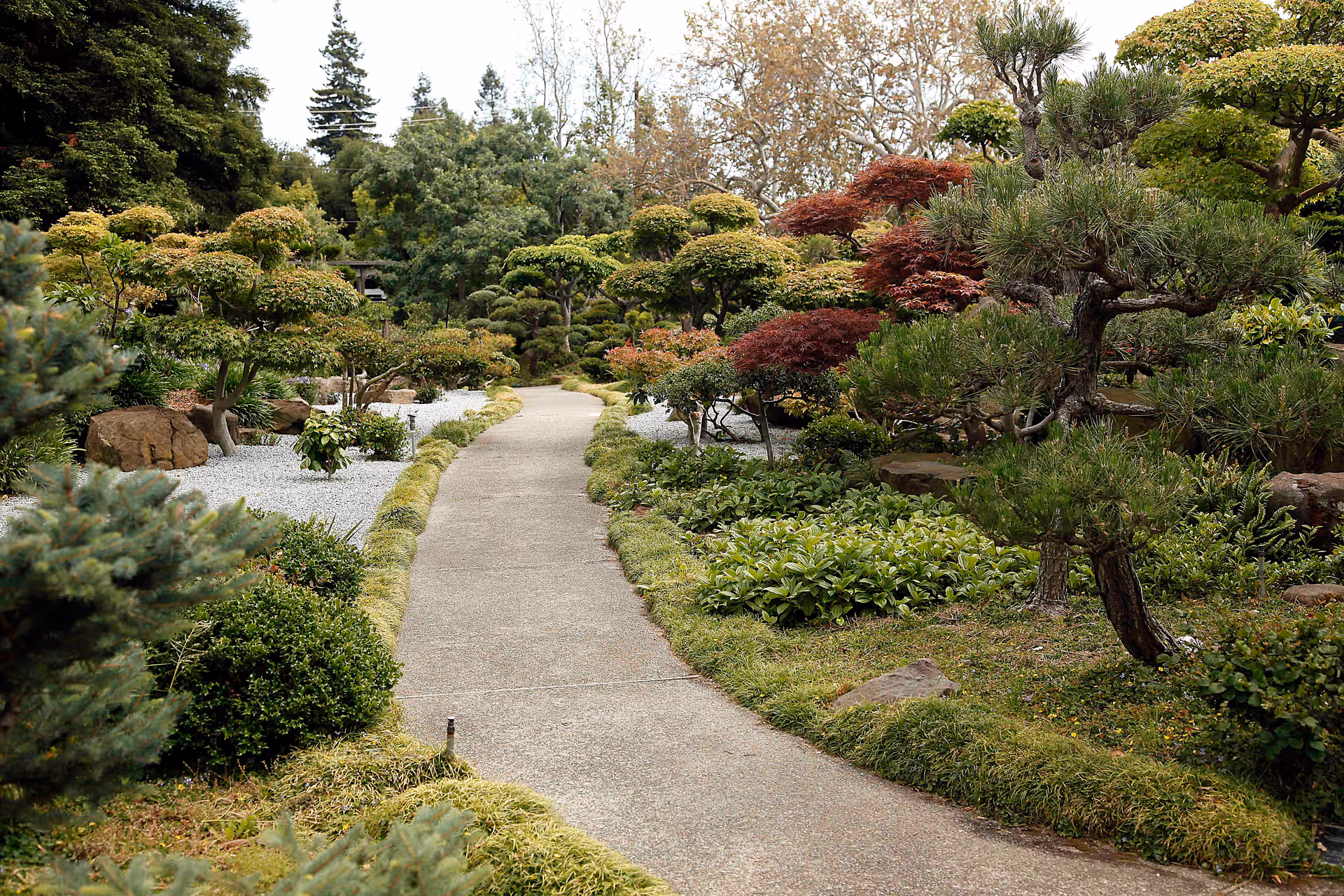 A winding paved path through a manicured garden with trimmed shrubs, trees, and decorative plantings.