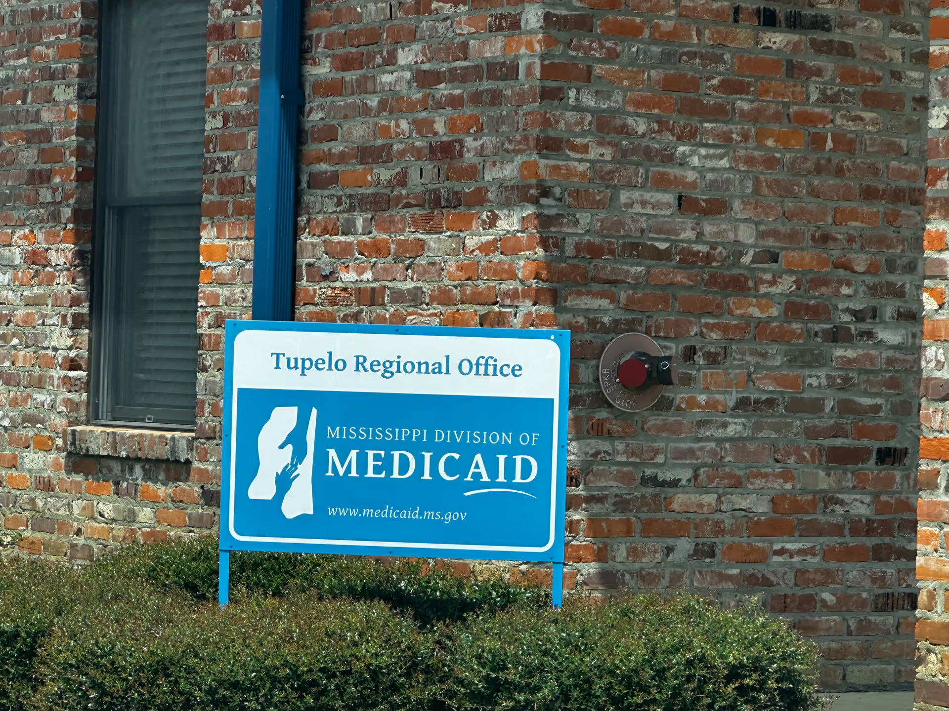A blue Mississippi Medicaid sign on a brick building exterior beside a window and shrubs.