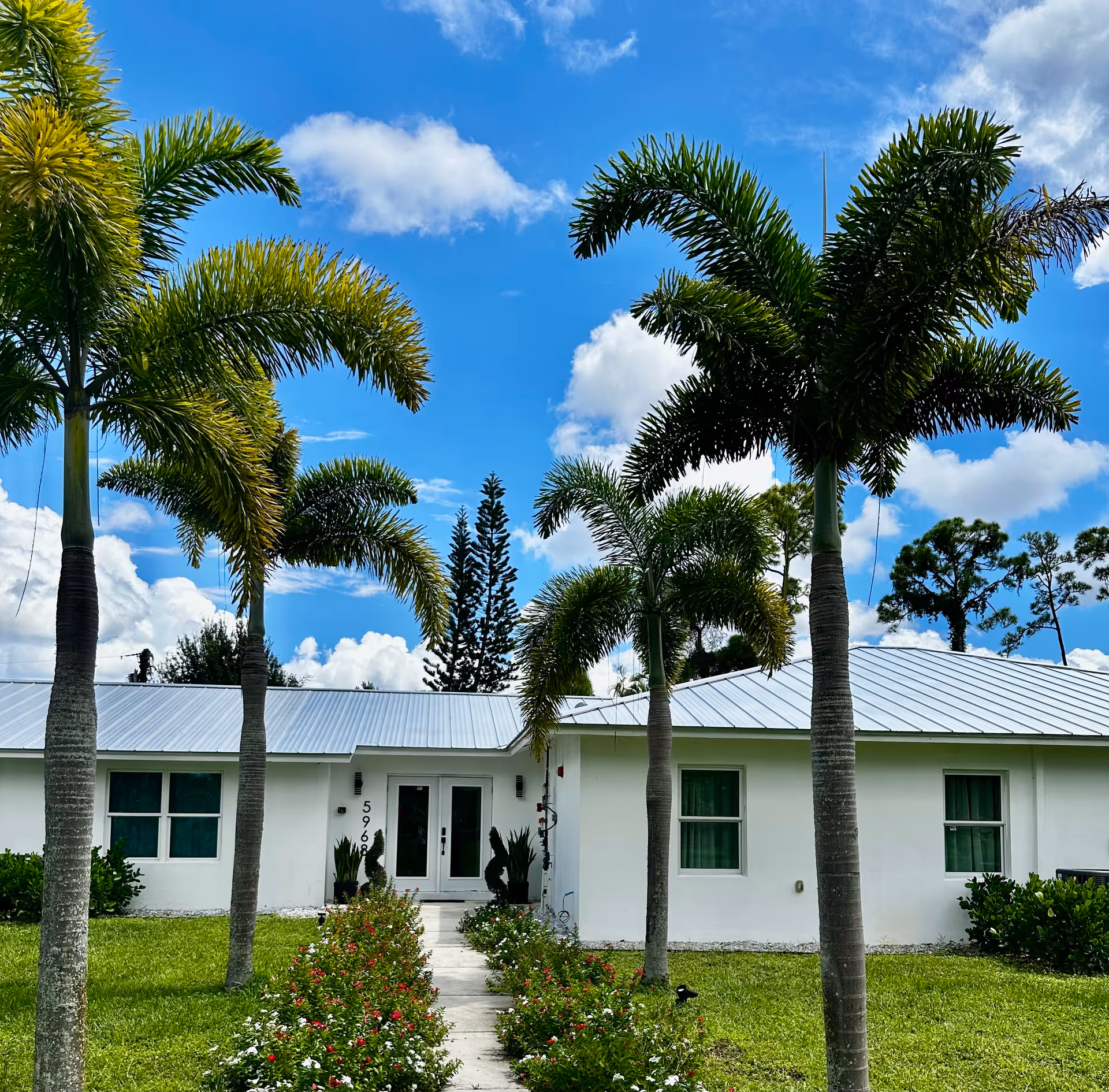 White single-story building with palm trees and a flower-lined walkway outside.