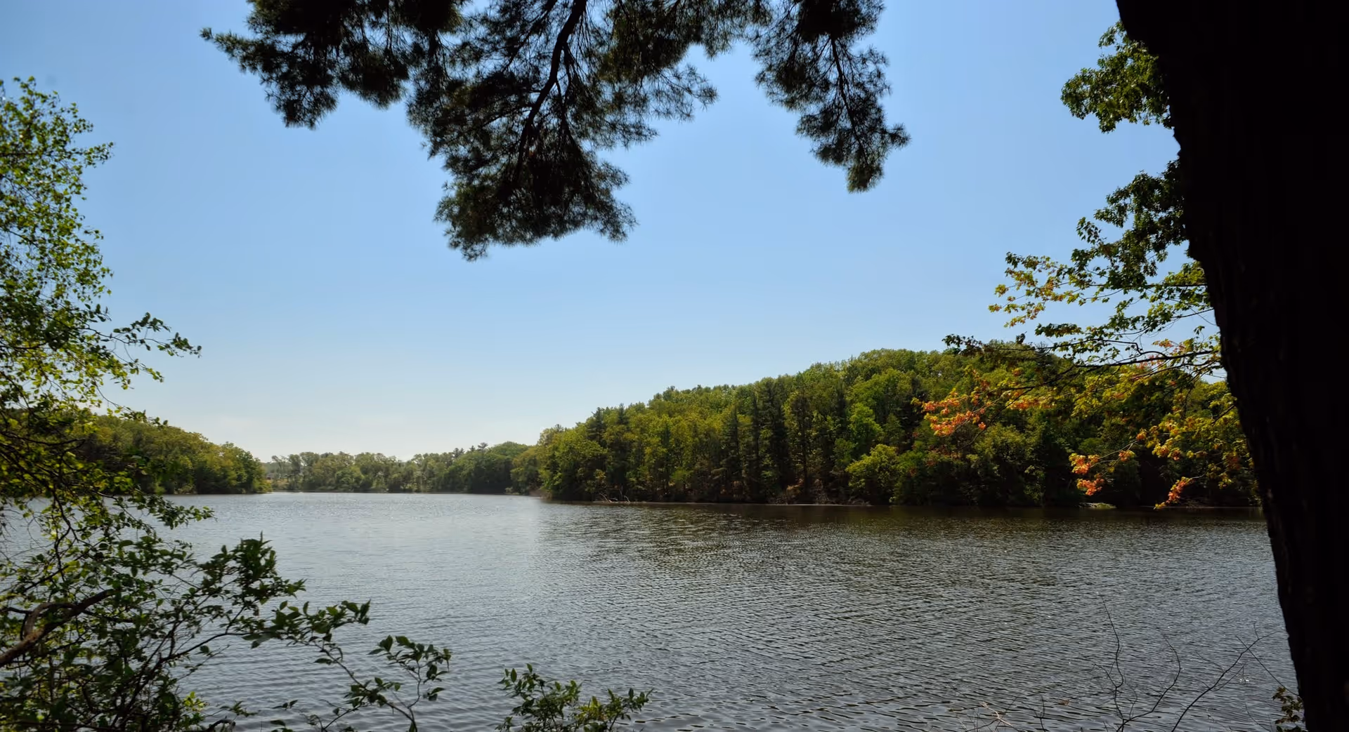Calm lake view with a tree-lined shoreline and trees framing the scene under a clear blue sky.
