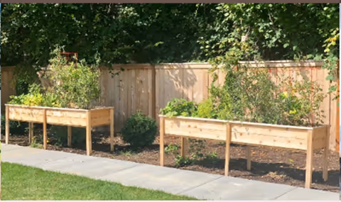 Outdoor garden area with raised wooden planters along a fence beside a sidewalk.