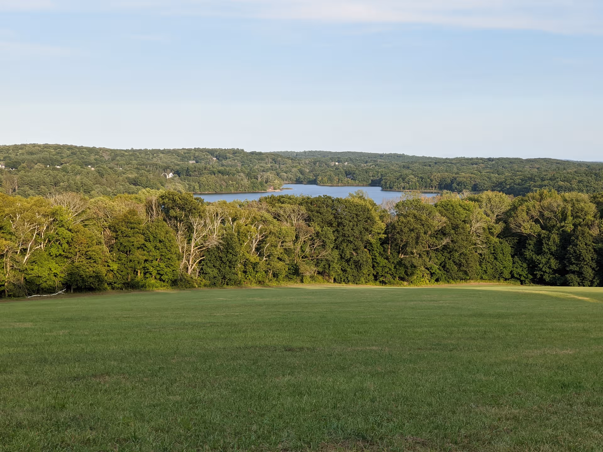 Expansive grassy field with a tree line and a distant lake under clear sky.