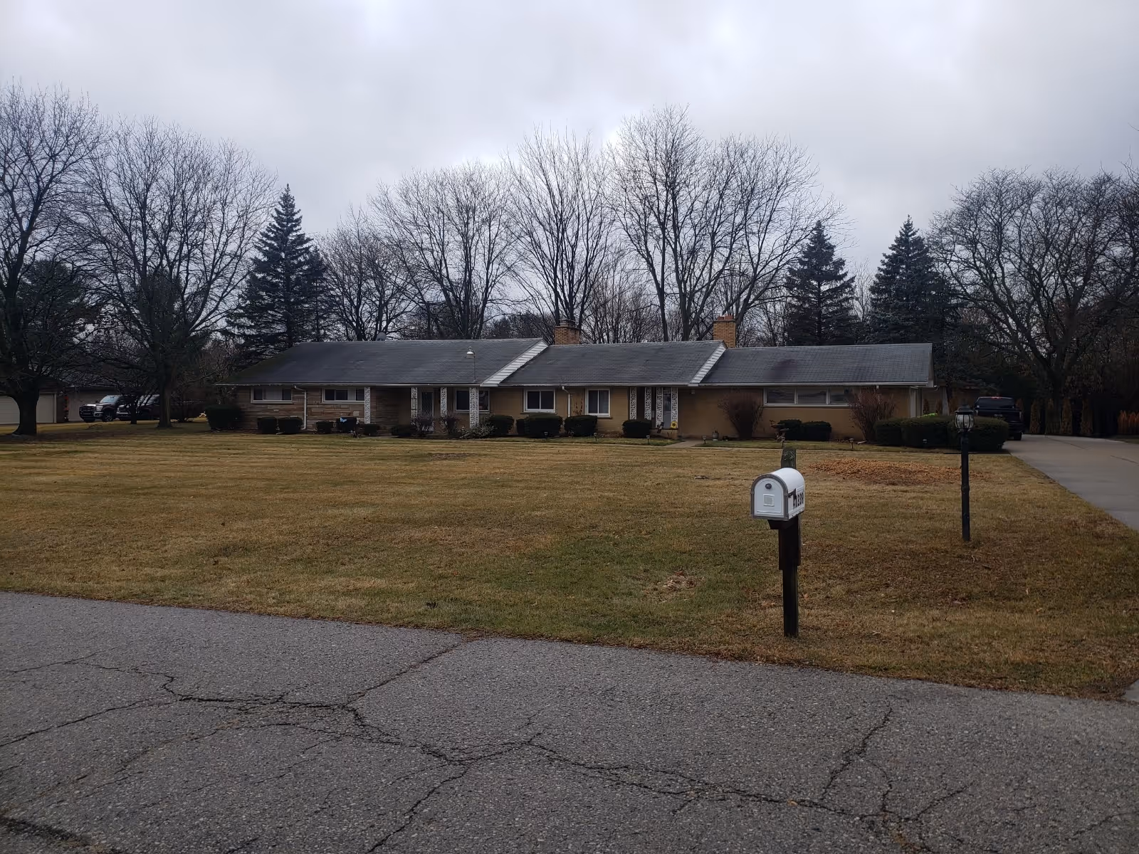 Front view of a single-story building with a lawn, trees, and mailbox.