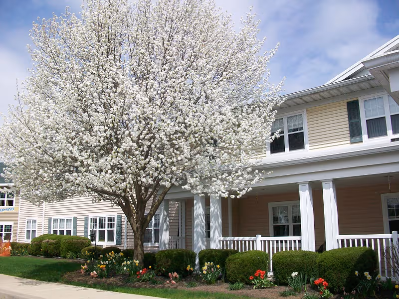 Beige Episcopal SeniorLife Brentland Woods building with blossoming tree and covered front porch.