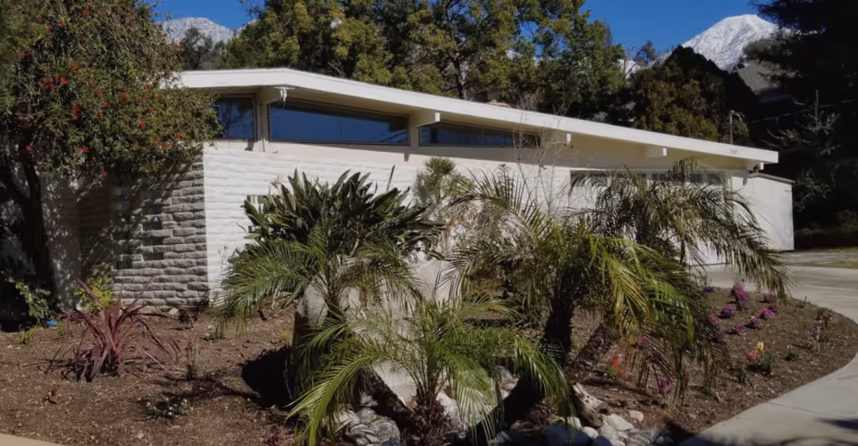 White, low-slung building exterior with palm plants and a mountain backdrop.