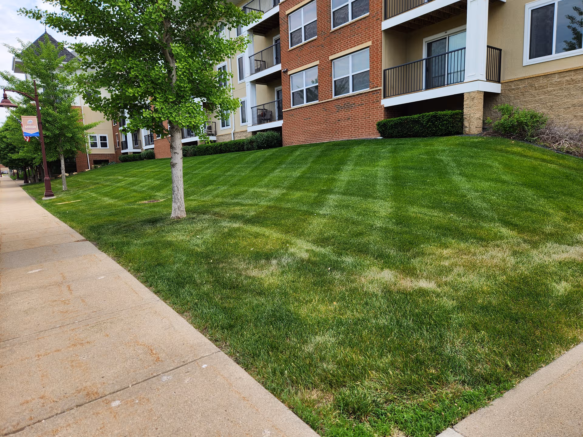 Exterior view of Glendale Place Apartments with a grassy lawn and sidewalk.