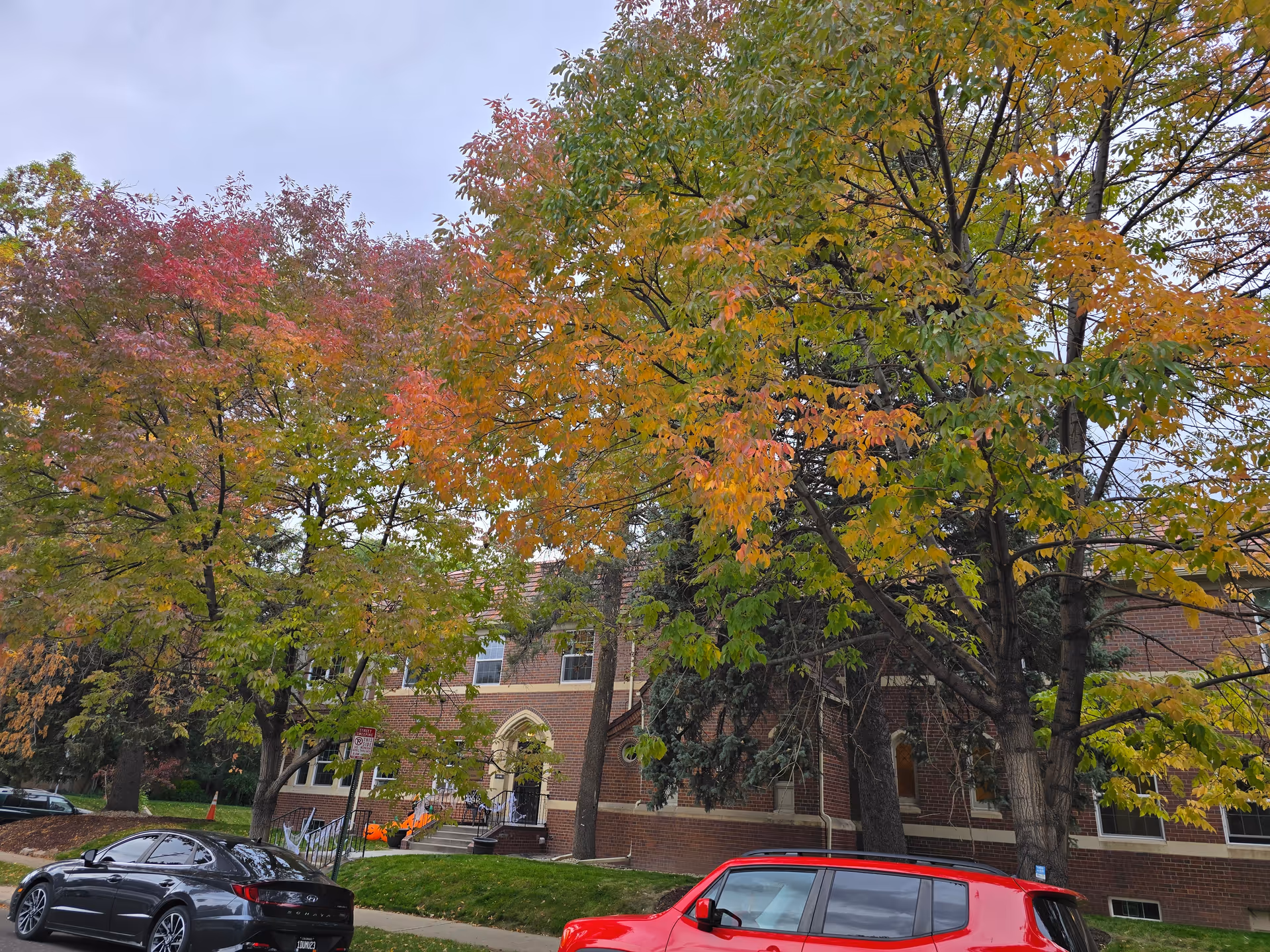 Brick residential building partially obscured by large trees with autumn foliage and parked cars in front.