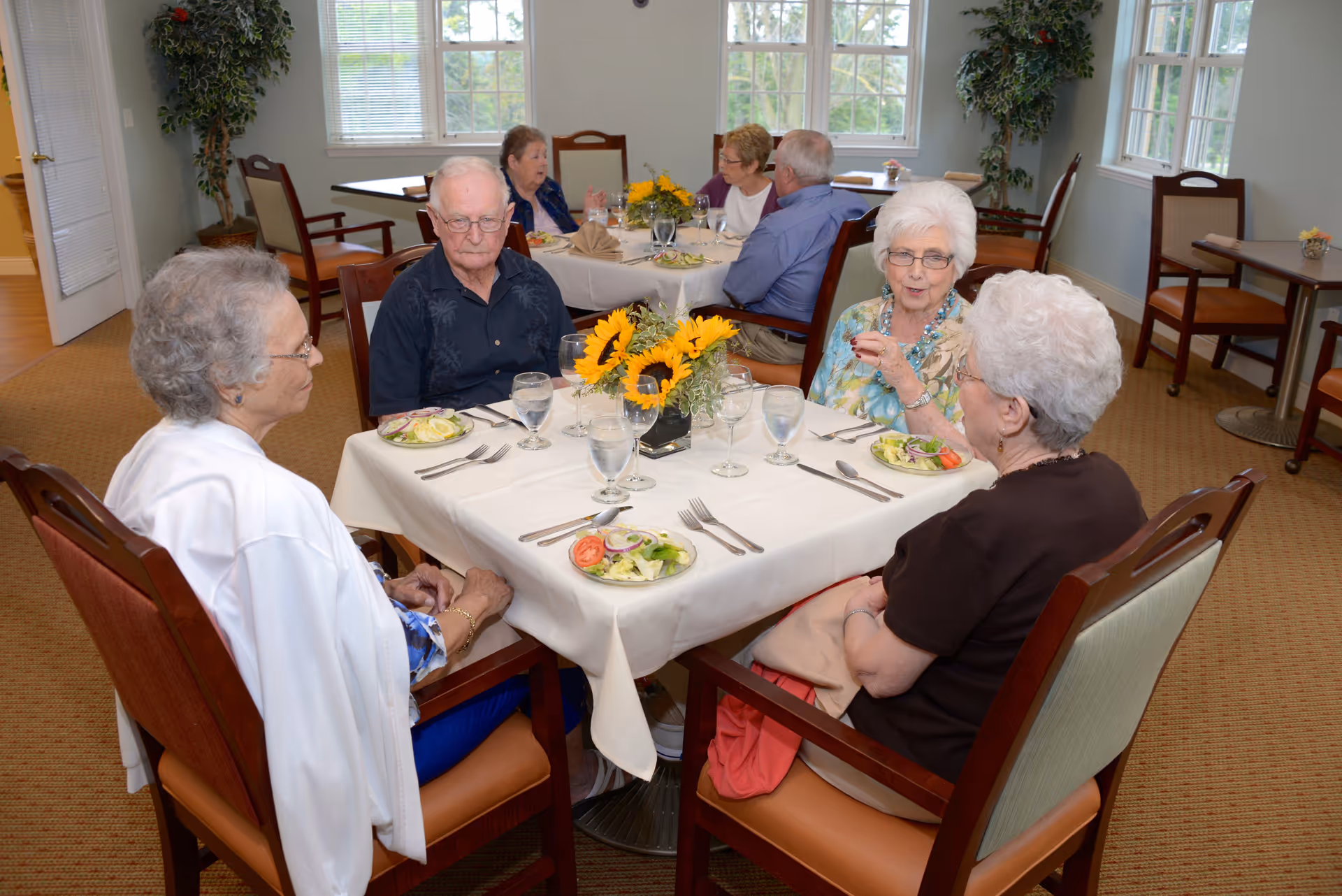 A group of elderly people sitting around a table in a dining room, having a meal with plates of salad and glasses of water. The table is covered with a white tablecloth and has a centerpiece of sunflowers. The room has large windows and several chairs, with more elderly people seated at another table in the background.