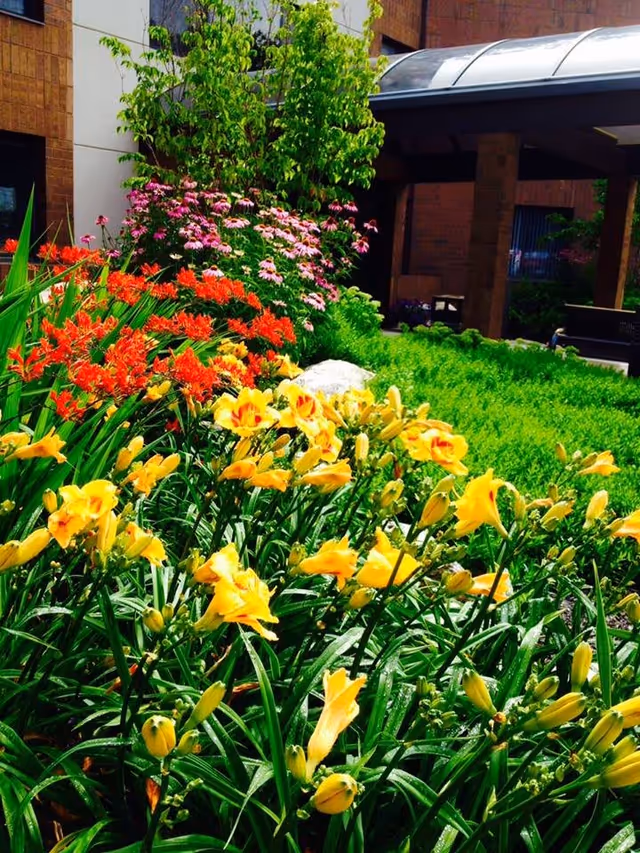 A vibrant garden area at Robbinswood Assisted Living Community featuring blooming yellow, red, and pink flowers with lush green foliage. The garden is adjacent to a brick building with a covered walkway.
