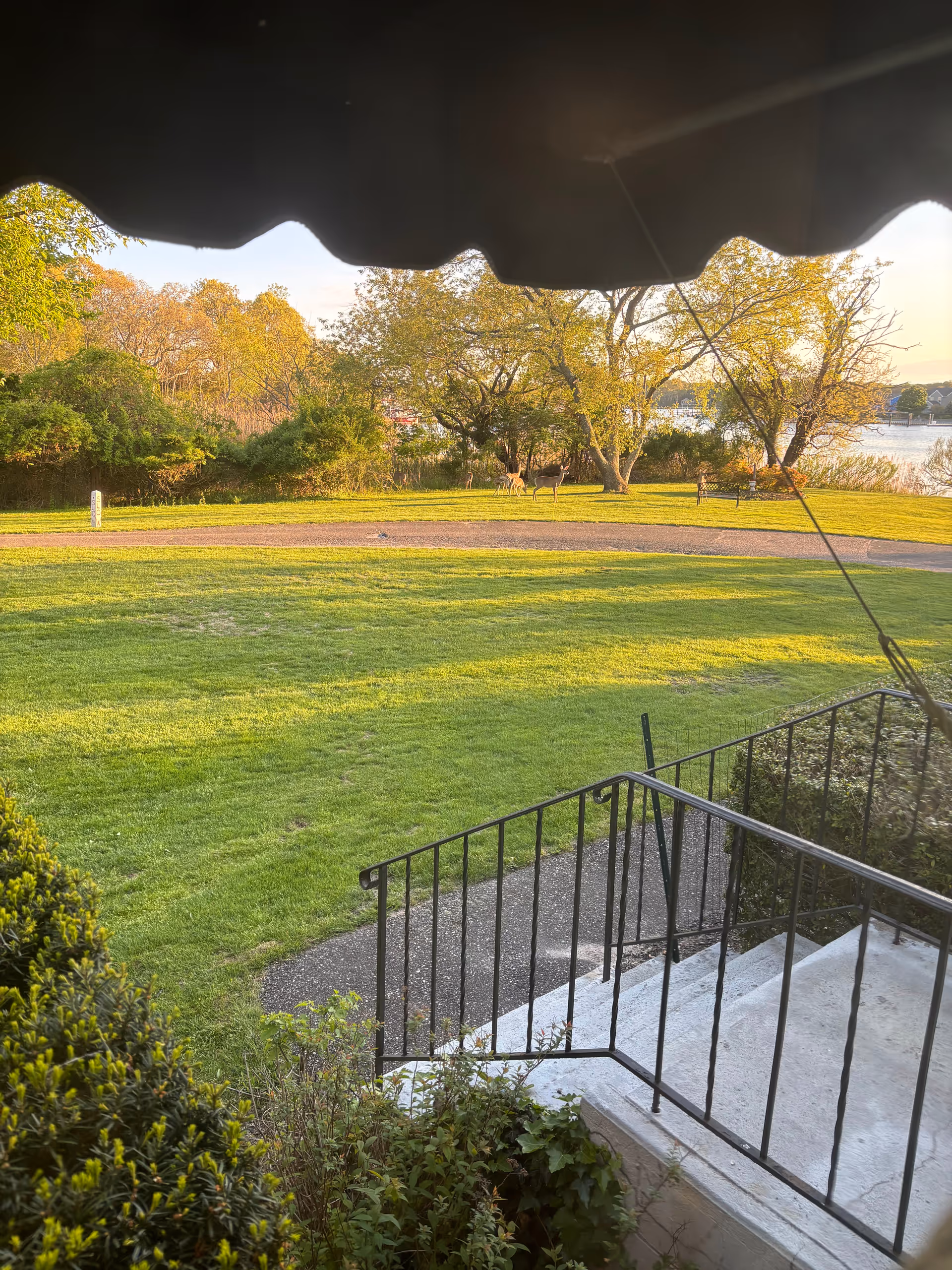View of a grassy park area with trees, a path, and a railing from a porch.