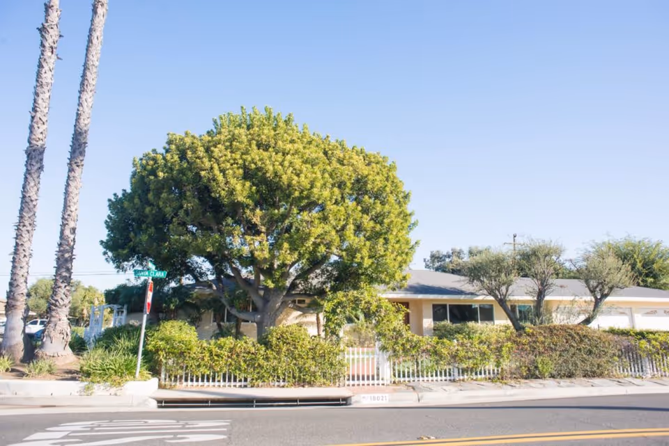 Single-story building partially hidden by a large leafy tree, hedges and a white picket fence along a street.