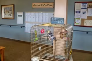 Inside a senior living hallway, a large metal bird cage sits near mailboxes.
