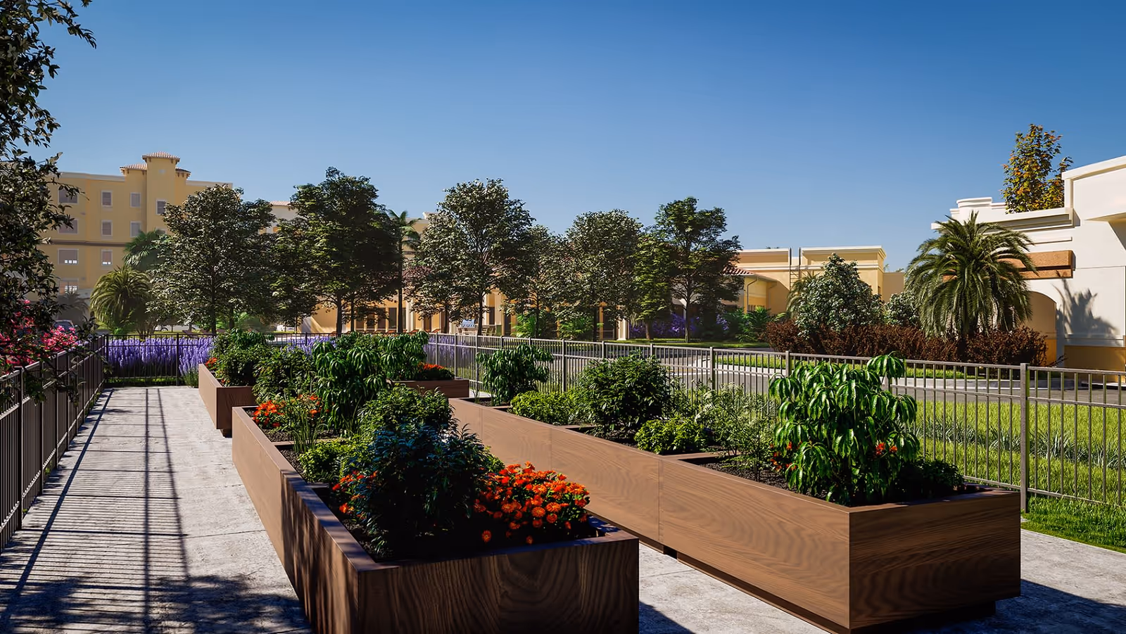 Outdoor garden area with raised wooden planter boxes filled with various green plants and flowers, surrounded by a metal fence. Trees and shrubs are visible in the background along with a clear blue sky and light-colored buildings.