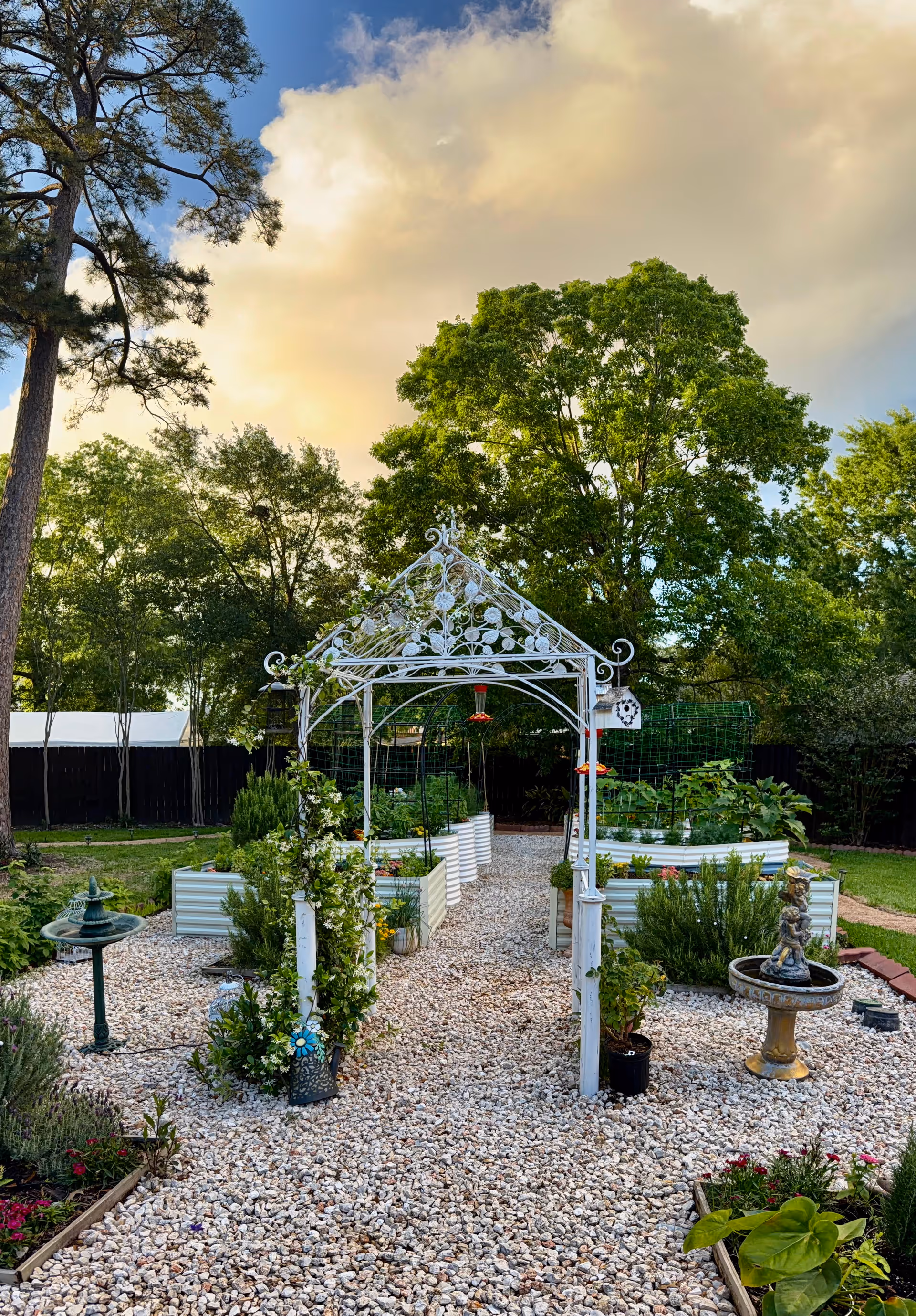 Outdoor garden with ornate white arch, gravel path, raised planters, and a fountain.