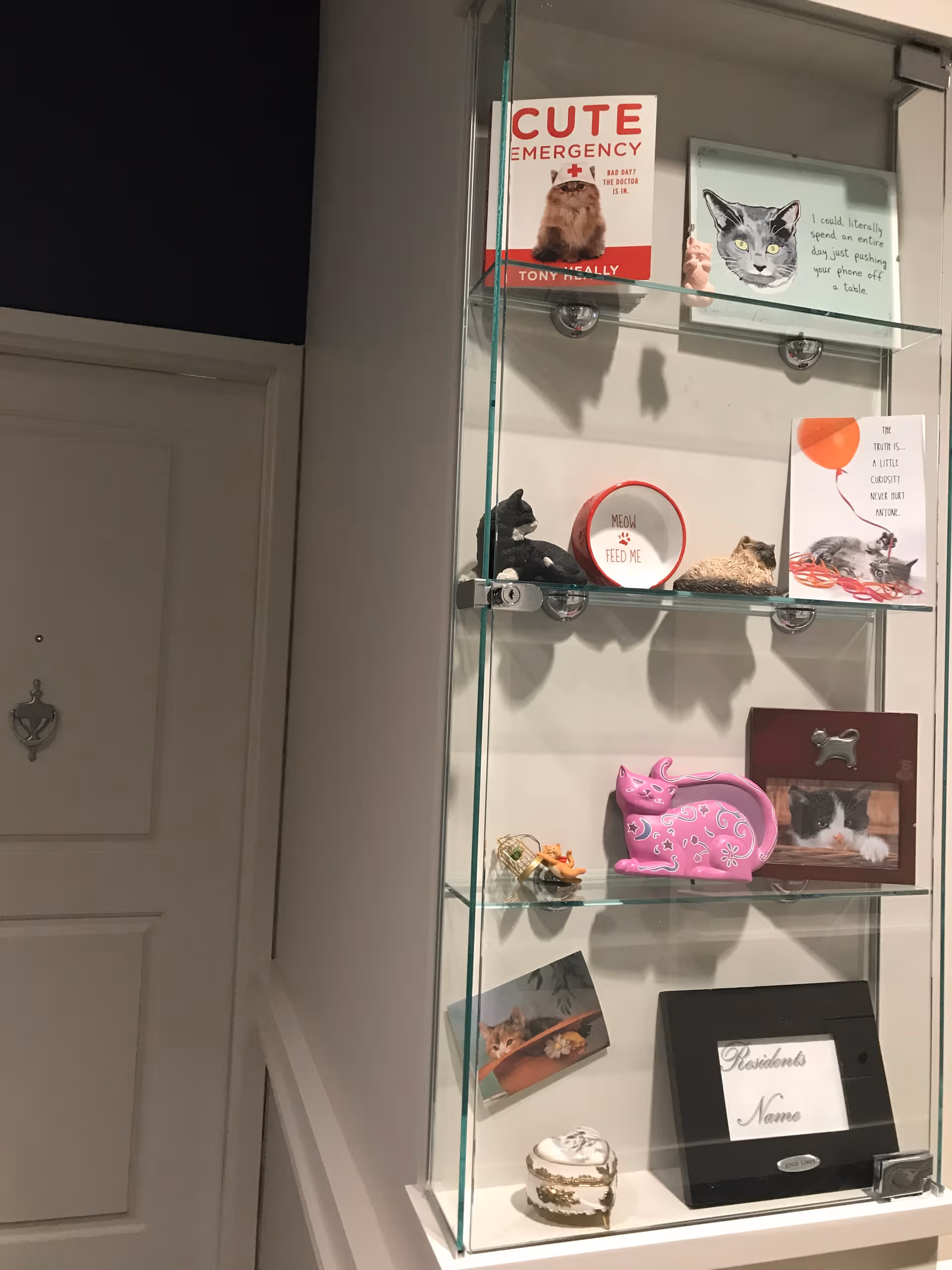 Glass display cabinet with cat figurines and cards beside a white door in a hallway