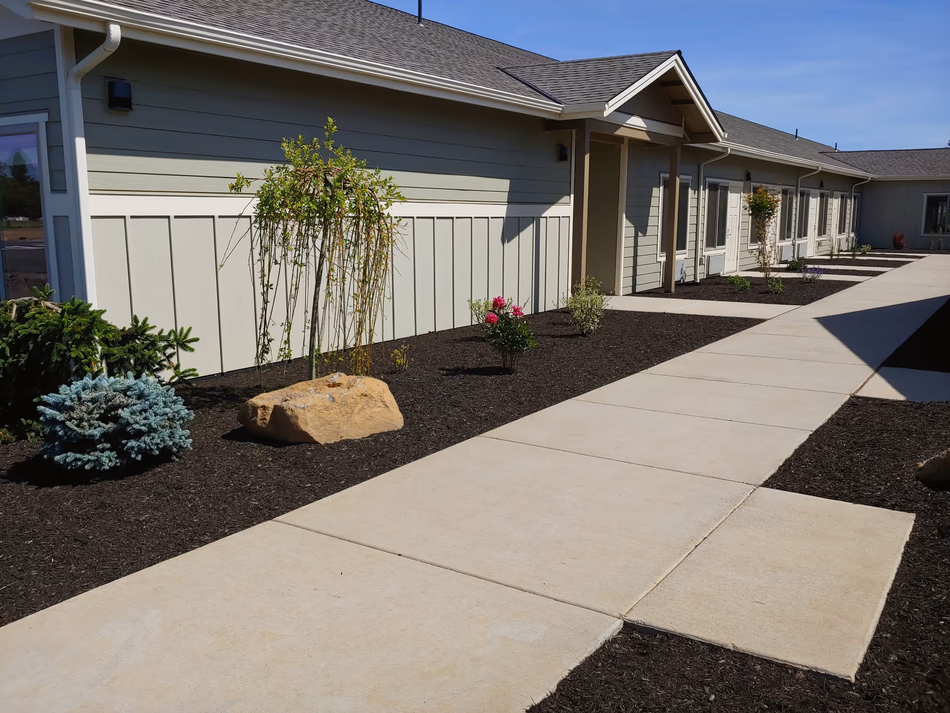 A paved walkway alongside a single-story building with light-colored siding and a sloped roof. The landscaped area next to the walkway features small shrubs, a tree, a large rock, and mulch. The sky is clear and blue.