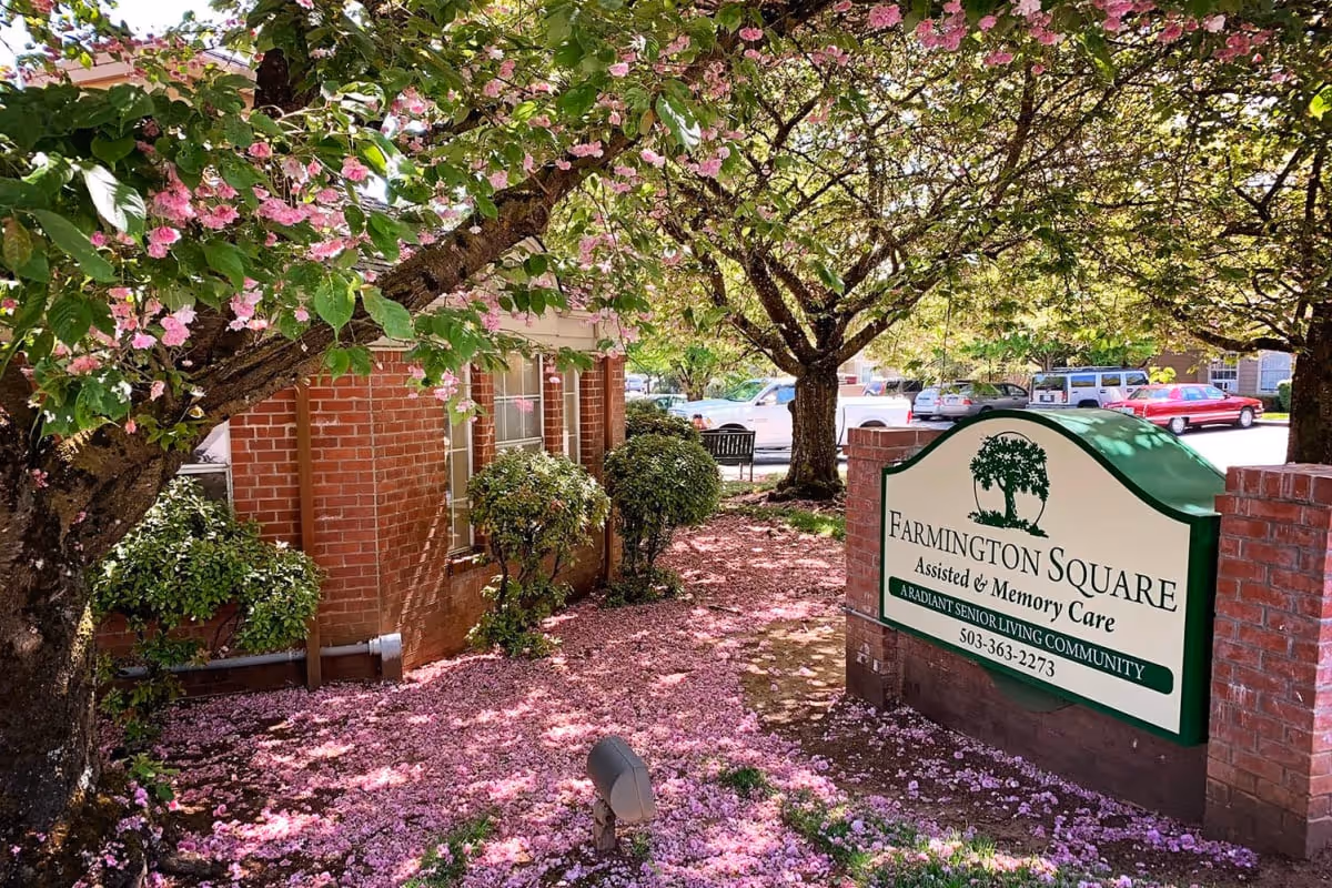 Entrance sign for Farmington Square Assisted & Memory Care beside a brick building under trees with pink blossoms carpeting the ground.