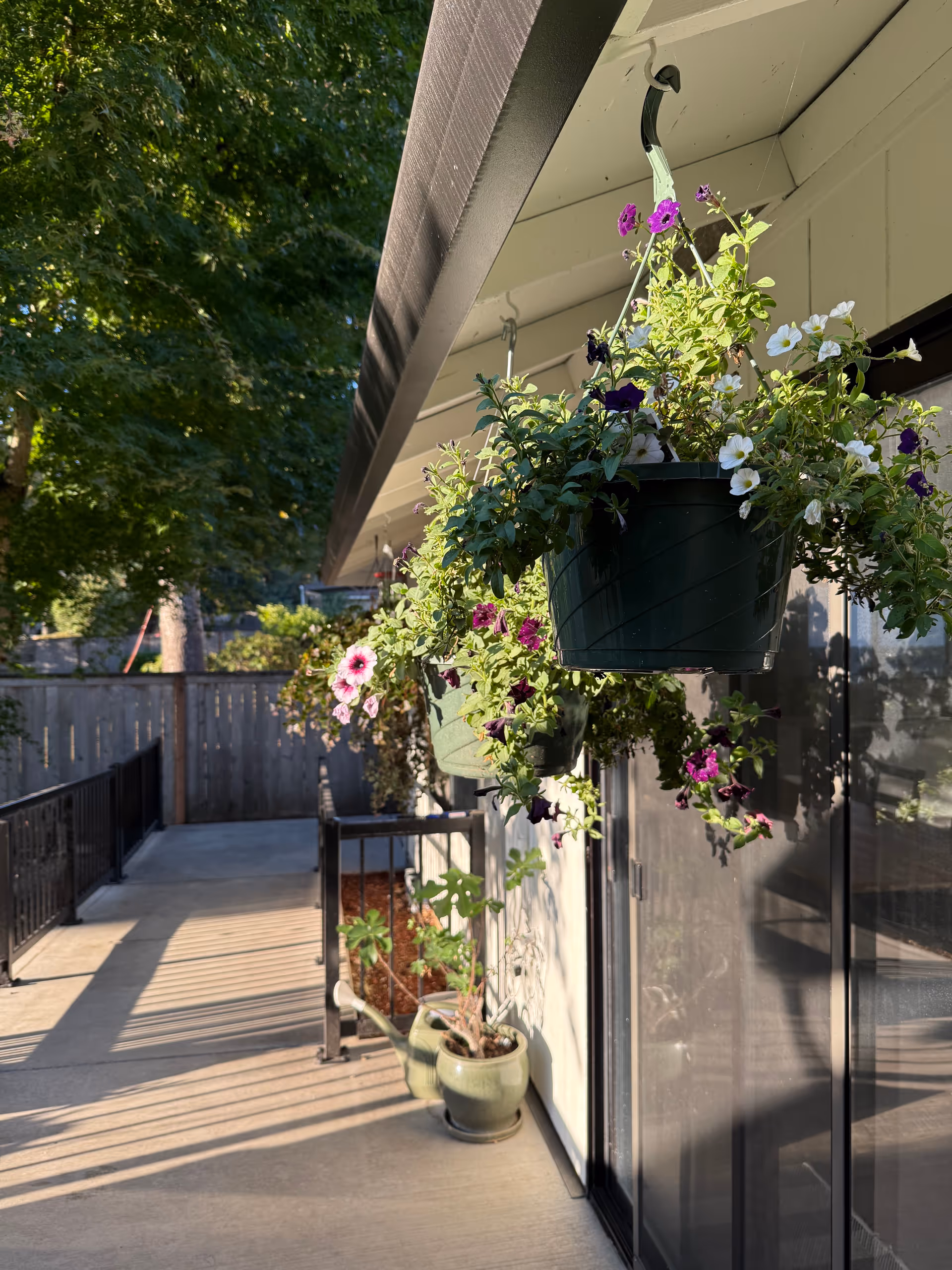Outdoor walkway at Cascade Park Specialty Care Home with hanging flower pots along railing