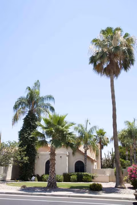Sunny exterior view of a senior living facility with palm trees and arched windows.
