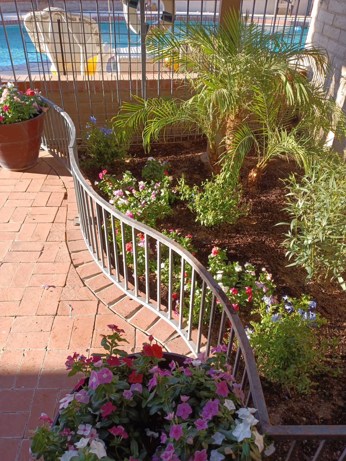 Outdoor patio area with potted plants, a curved metal railing, and a swimming pool beyond.