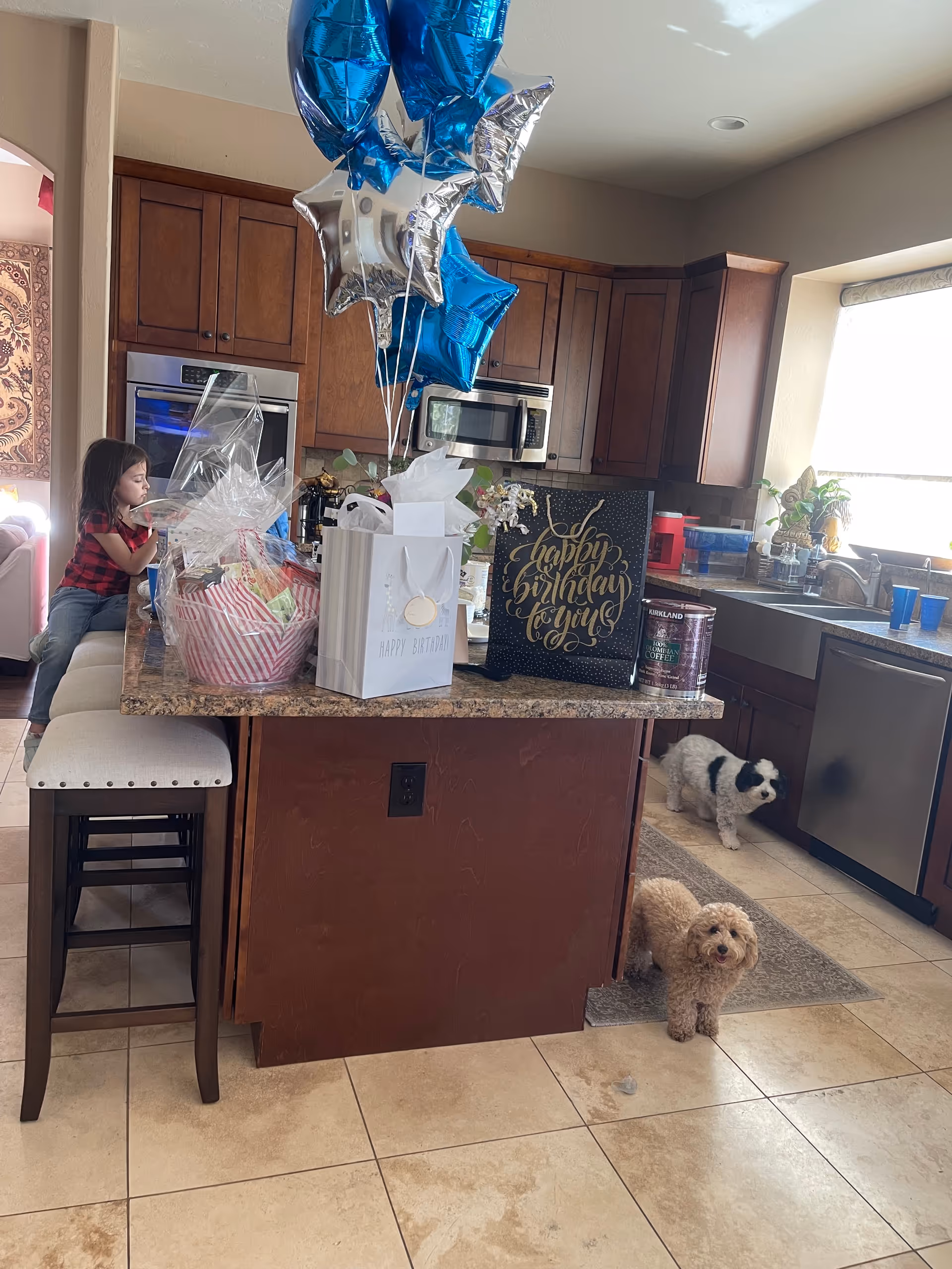 A kitchen with birthday gifts, balloons, and two small dogs near an island.