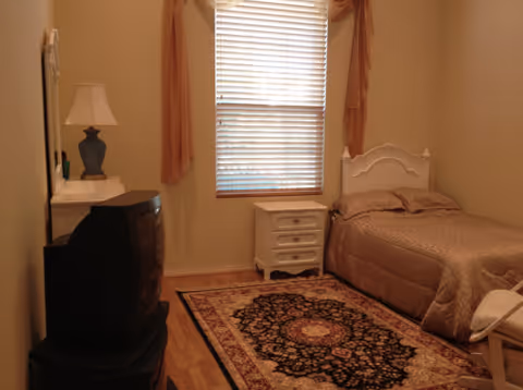 Bedroom with a bed, nightstand, dresser, TV, lamp, window, and patterned rug.