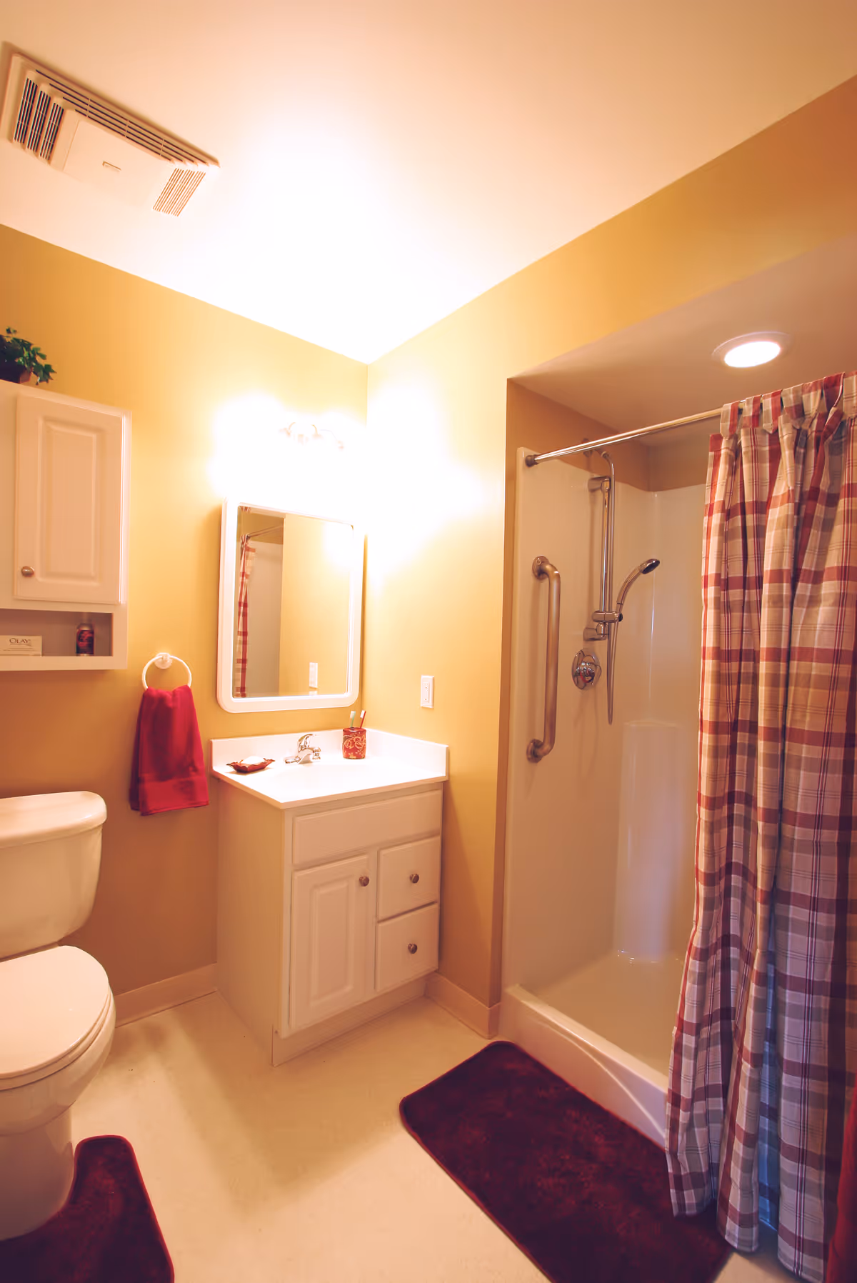 Bright bathroom featuring a vanity, mirror, toilet, and a shower with plaid curtain.