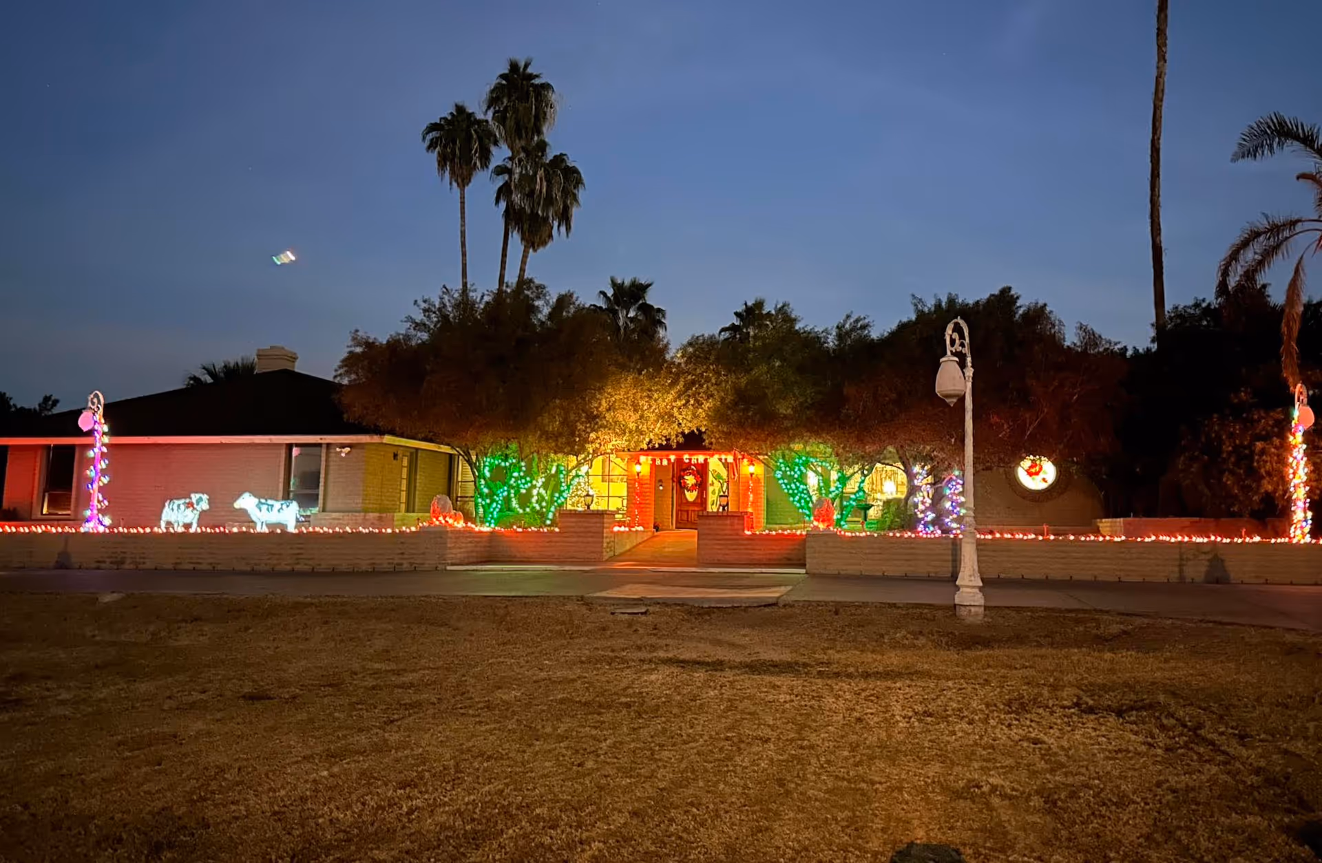 Single-story building front at dusk decorated with colorful holiday lights and palm trees.