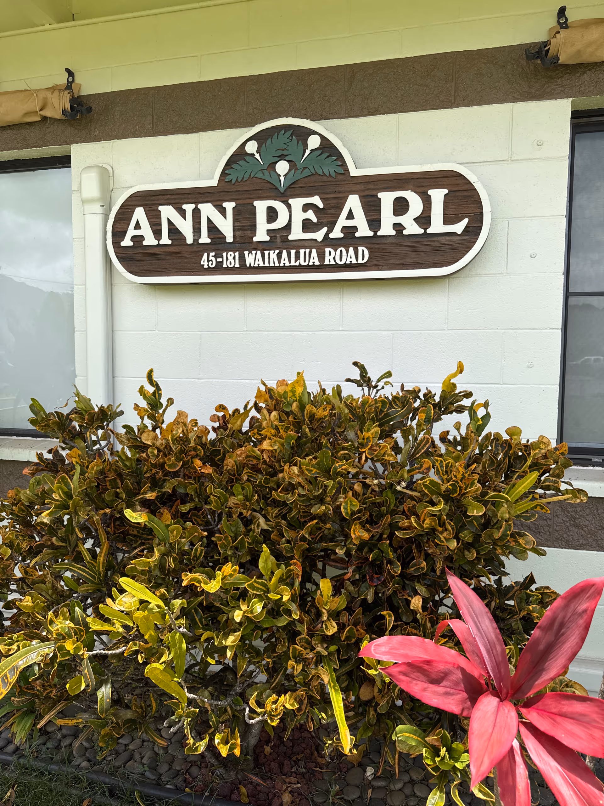 Exterior view of Ann Pearl Nursing Facility sign with bushes and tropical landscaping in front.