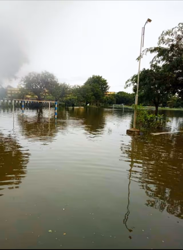 Flooded outdoor area near a senior facility; submerged ground, trees, and a lamp post.