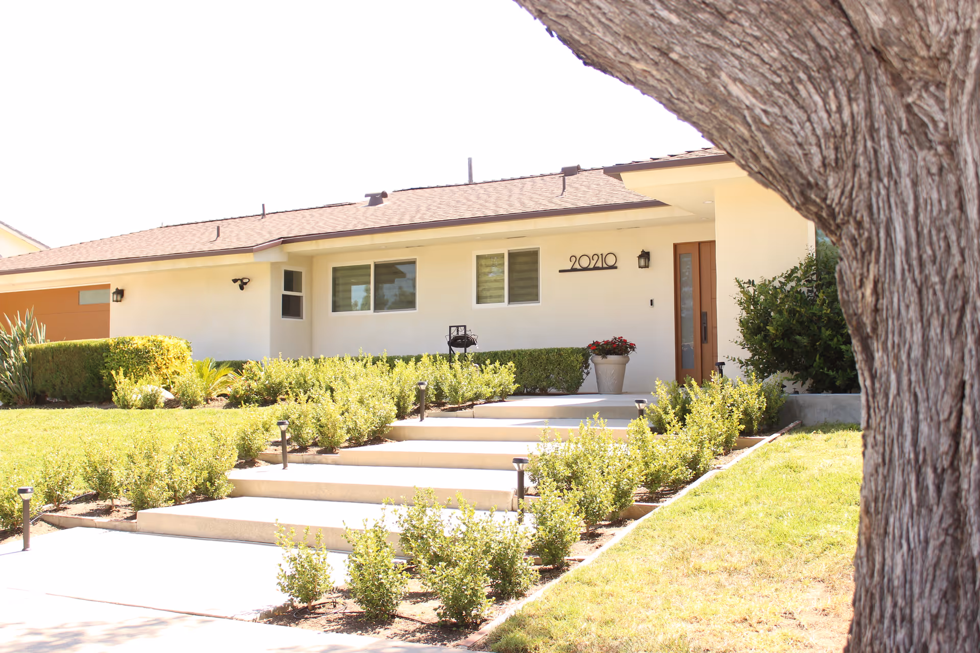 Front exterior of Chatsworth Assisted Living, single-story with steps, shrubs, and a large foreground tree.