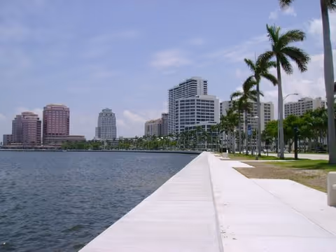 Waterfront promenade with palm trees and city skyline under a bright blue sky.