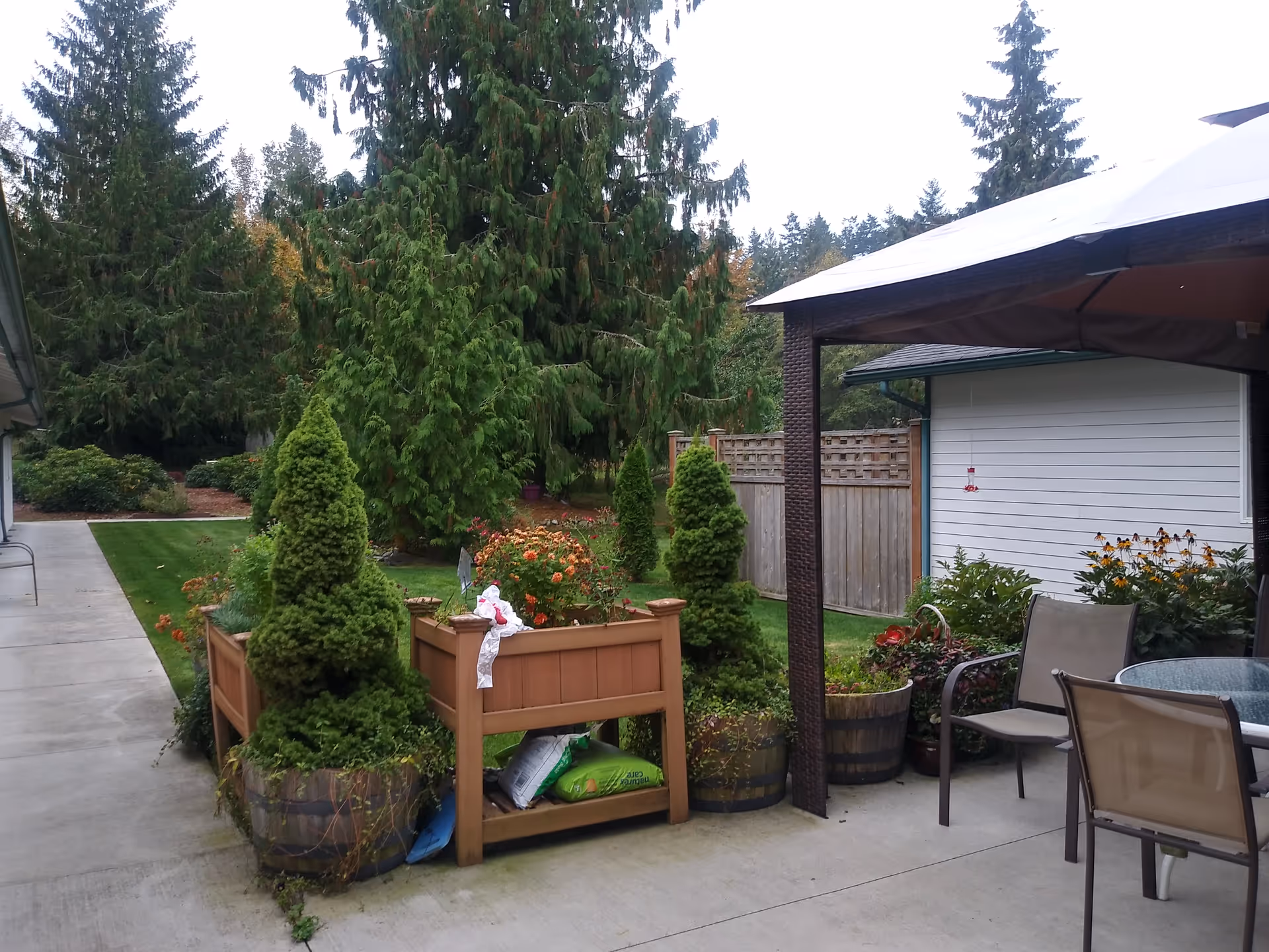 A shaded outdoor patio area with potted plants, seating, and a wooden fence.