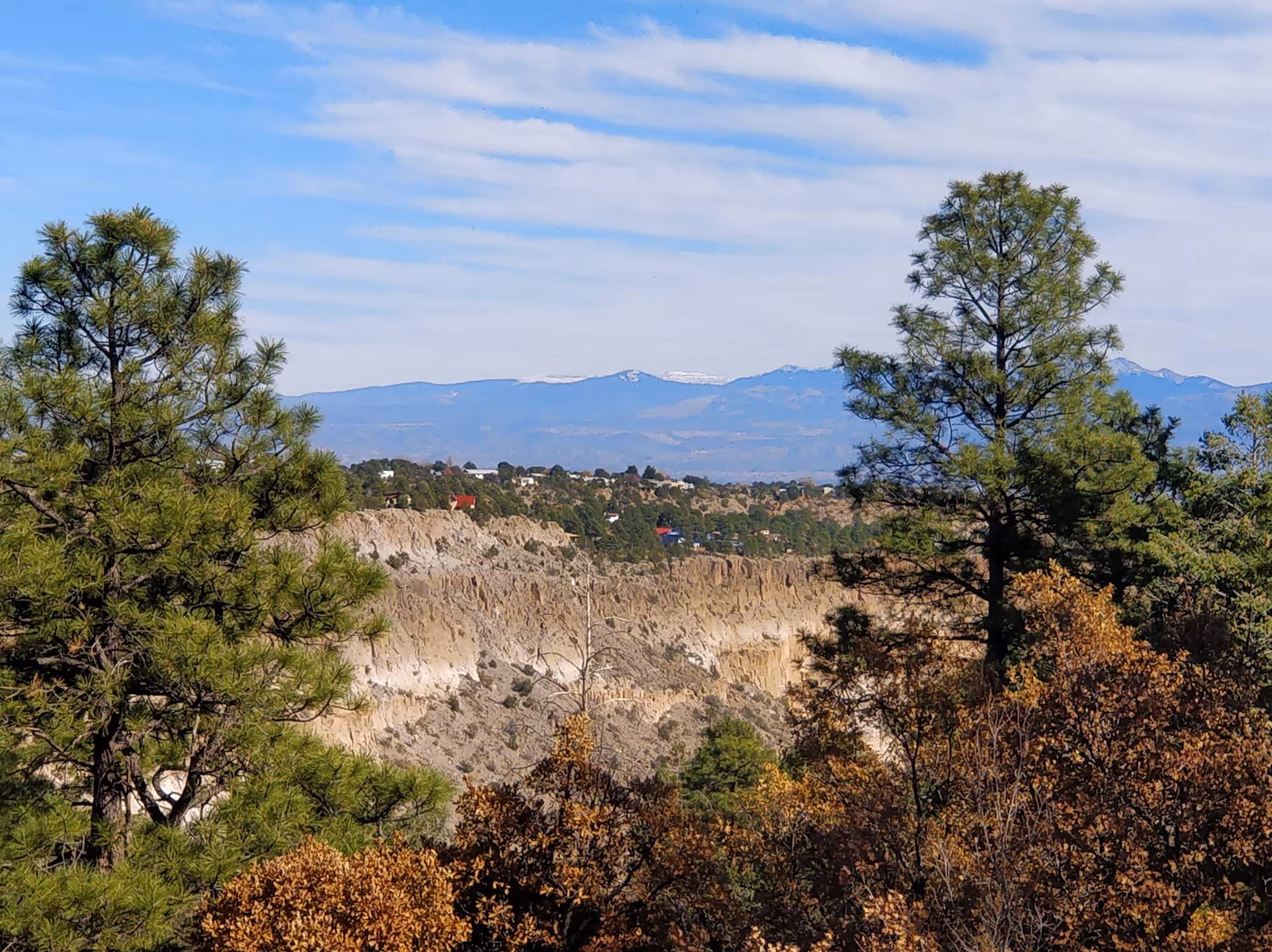 Scenic canyon overlook with pine trees and distant mountains
