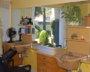 Interior view of a hair salon area with two beige washbasins and chairs in front of a large window showing green bushes outside. There are shelves with plants and decorative items on top of the washbasins.