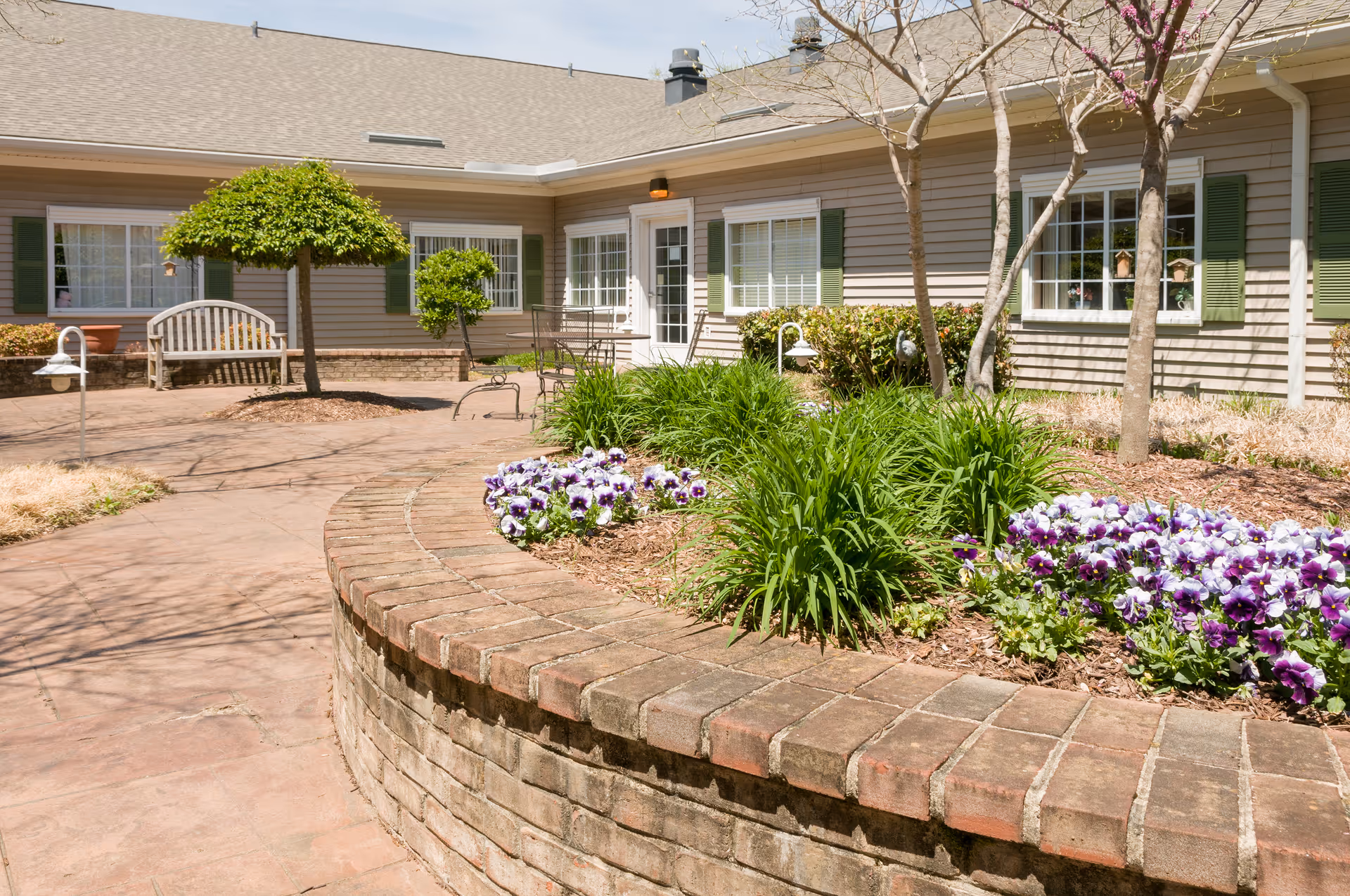 Sunny courtyard with a curved brick raised flower bed of purple pansies, benches, and the exterior of a single-story senior living building.