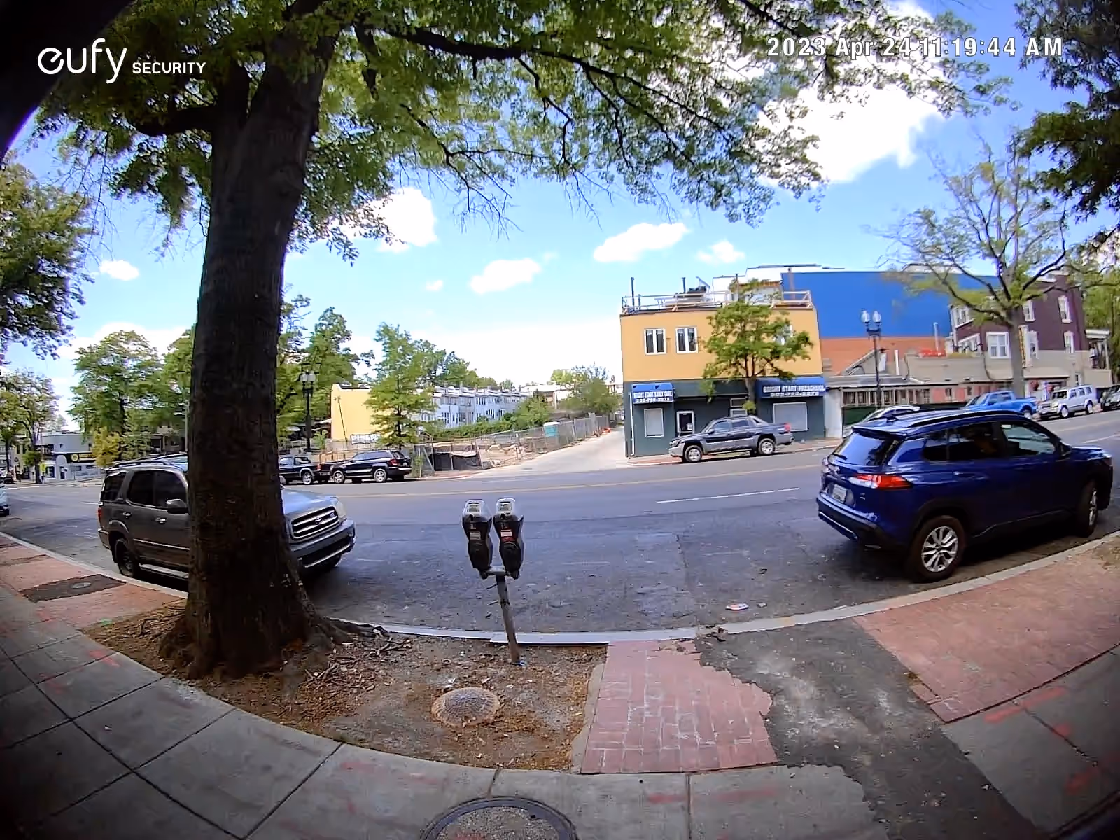 Street view with parked cars, storefronts, and large trees along a sunny sidewalk.