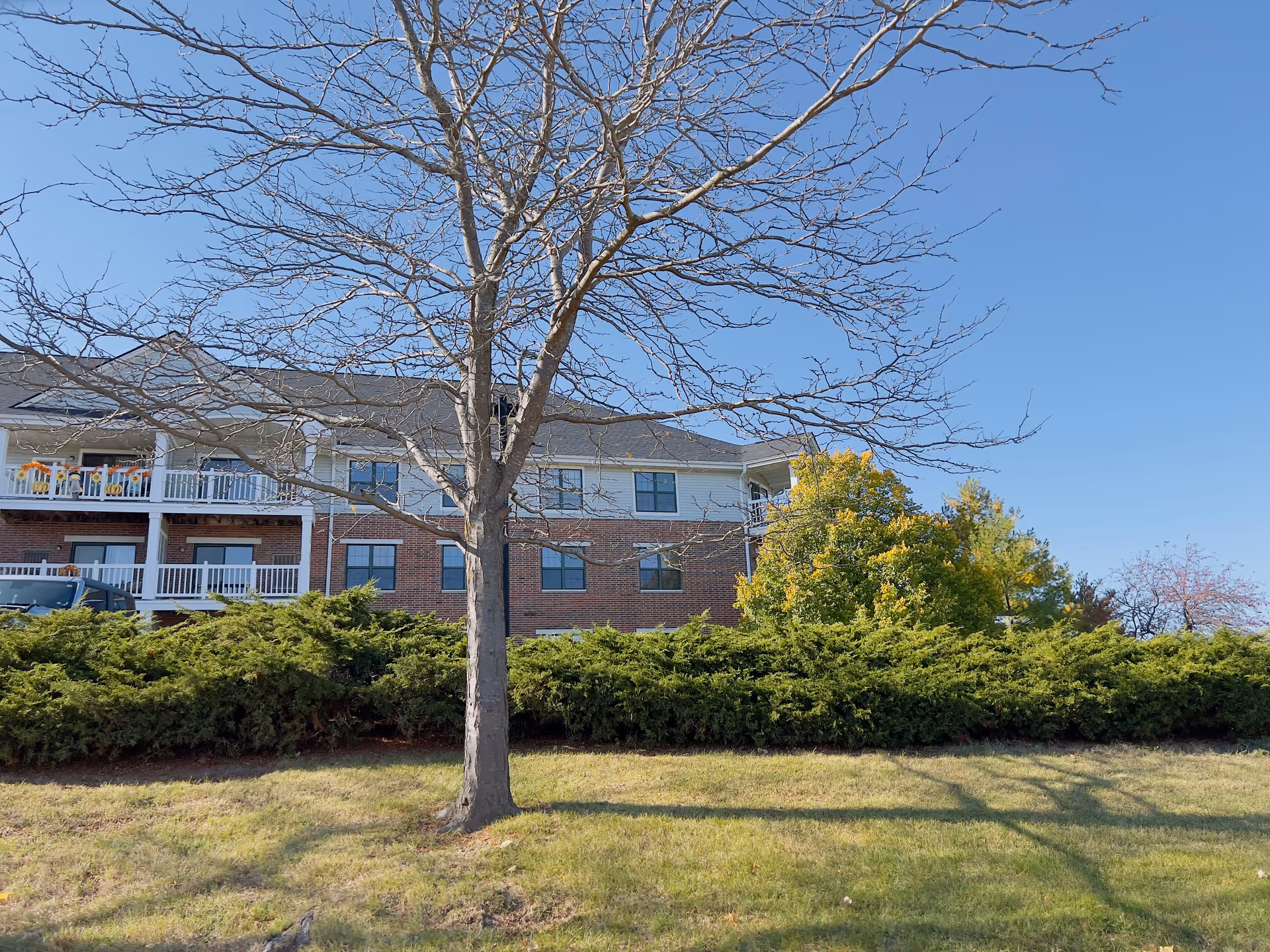 Exterior view of a two-story brick and siding apartment building with balconies, surrounded by green bushes and trees, under a clear blue sky.