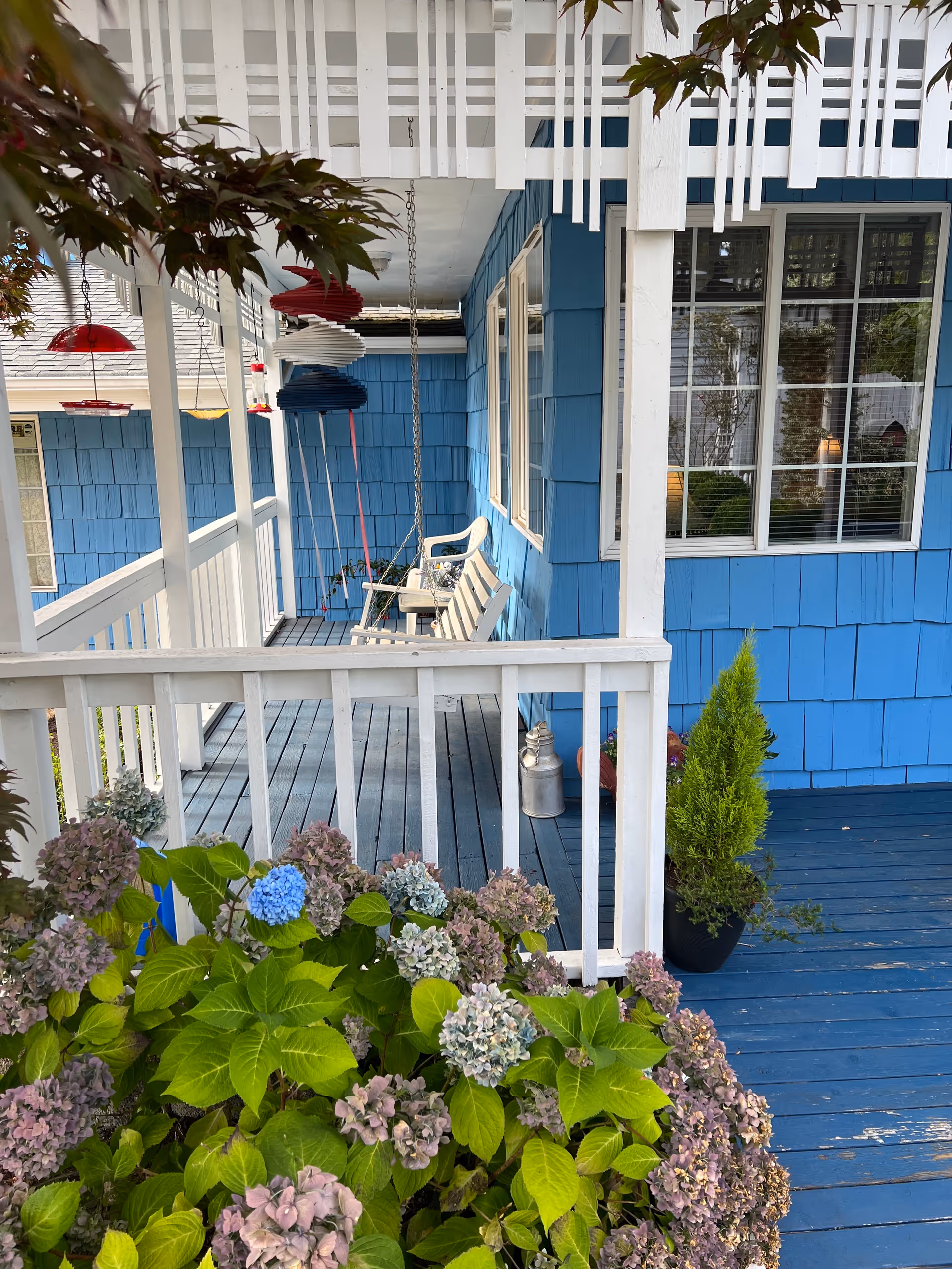 Blue wooden porch of Birch Manor with white railing, hanging lanterns, and potted hydrangeas.