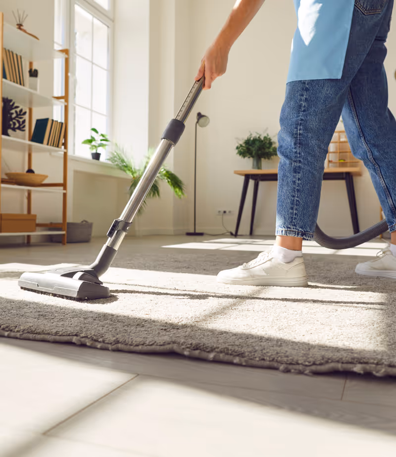 Caregiver cleans a bright indoor living room with a rug, shelves, and plants.