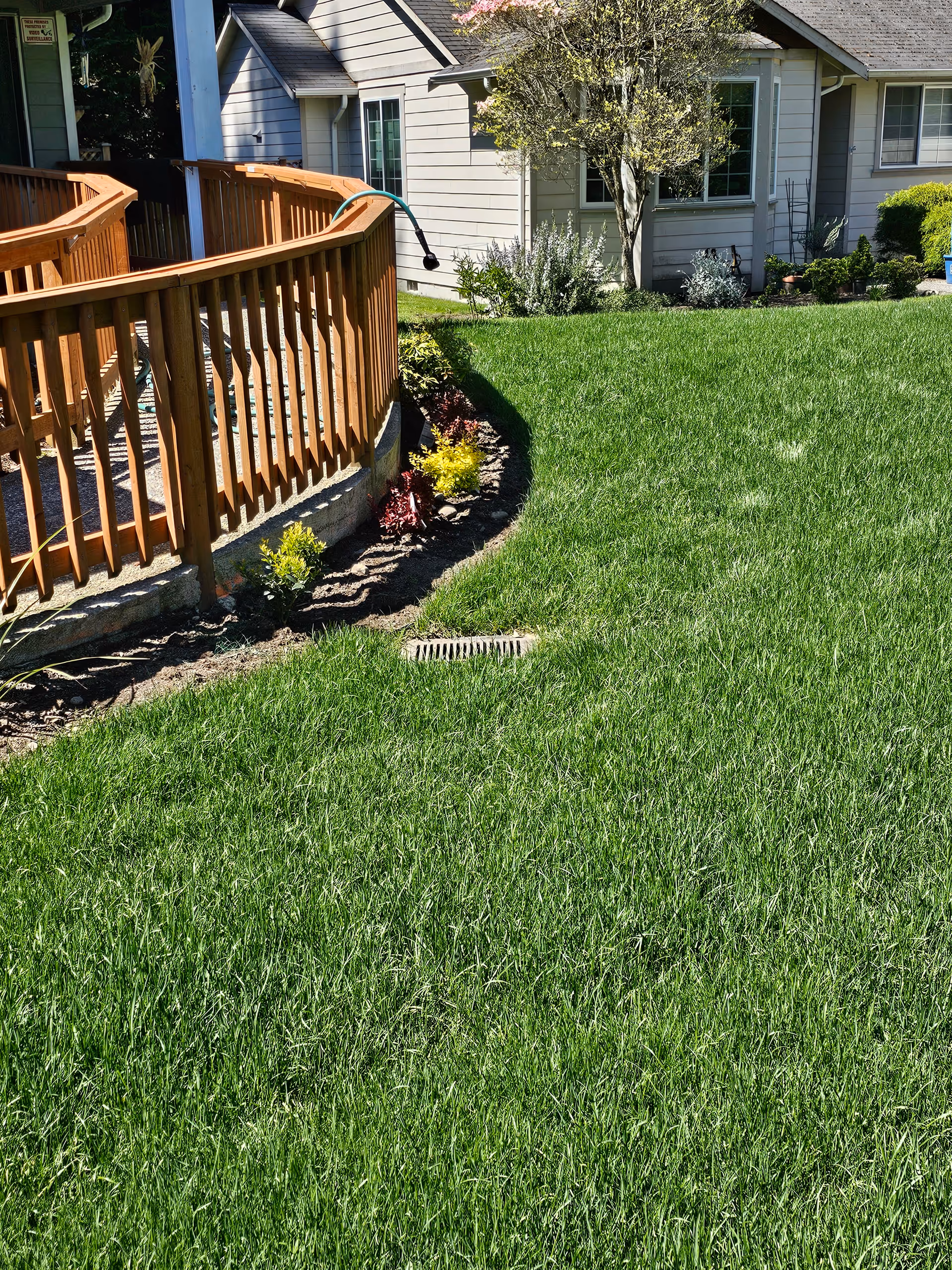 Residential home with wooden deck railing, lush green lawn, and small garden near the house.
