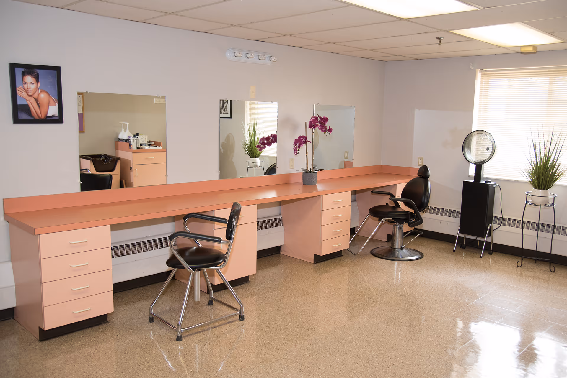 Interior of a salon area in Franklin Plaza featuring a long pink countertop with two black salon chairs in front of mirrors. There is a framed photo of a woman on the wall, a potted orchid on the countertop, a hair dryer on a stand near a window with blinds, and a potted plant on a metal stand.
